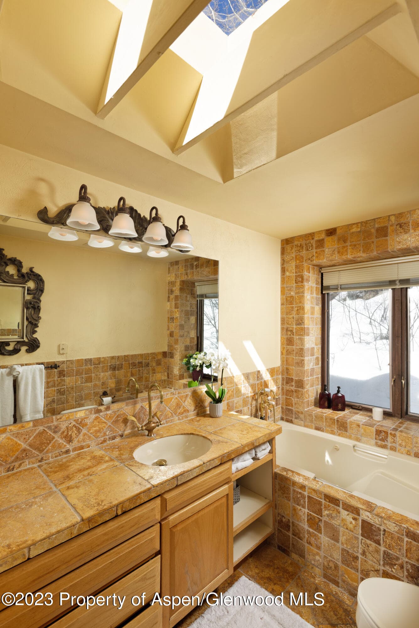 184 Mountain Laurel Drive, Aspen, CO 81611 - Photo 17