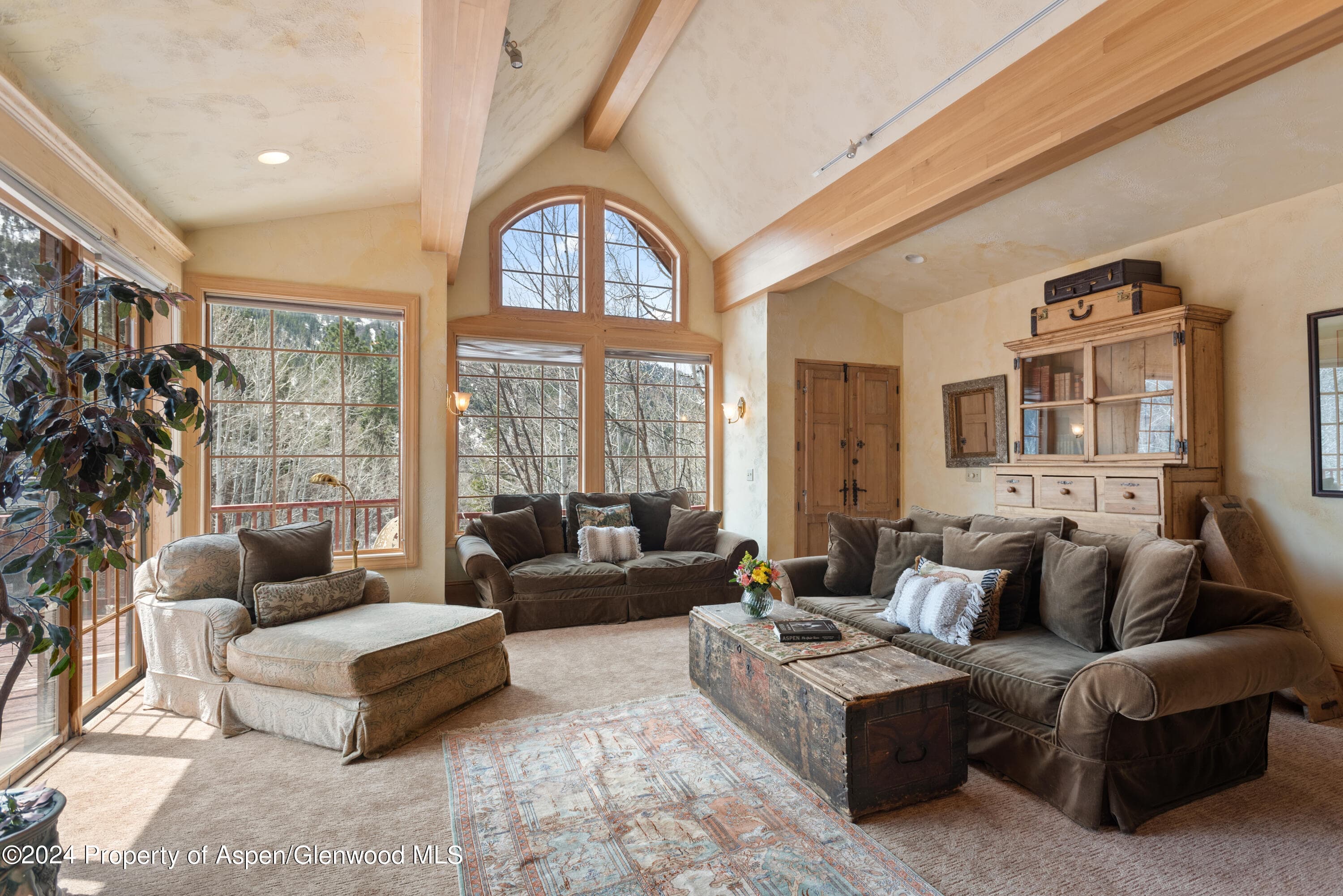 184 Mountain Laurel Drive, Aspen, CO 81611 - Photo 26