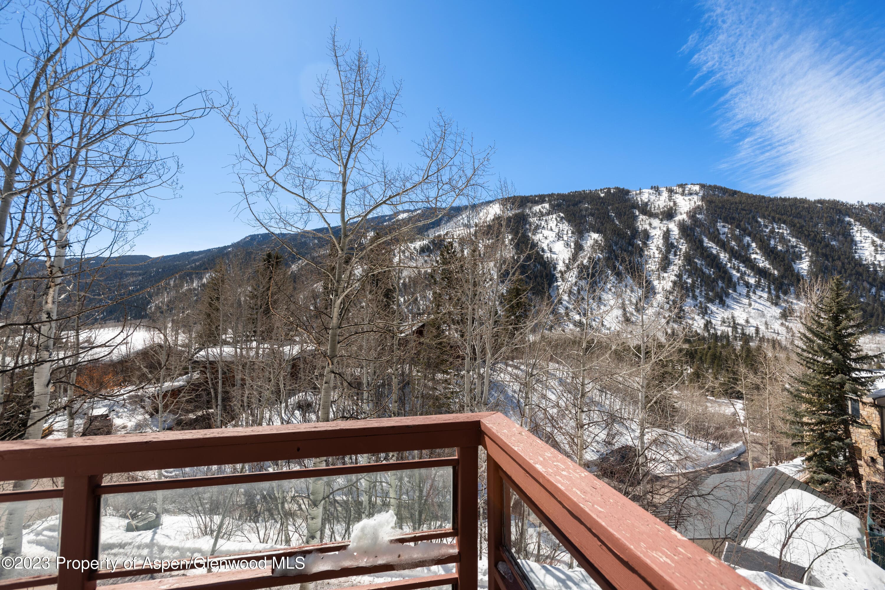 184 Mountain Laurel Drive, Aspen, CO 81611 - Photo 45