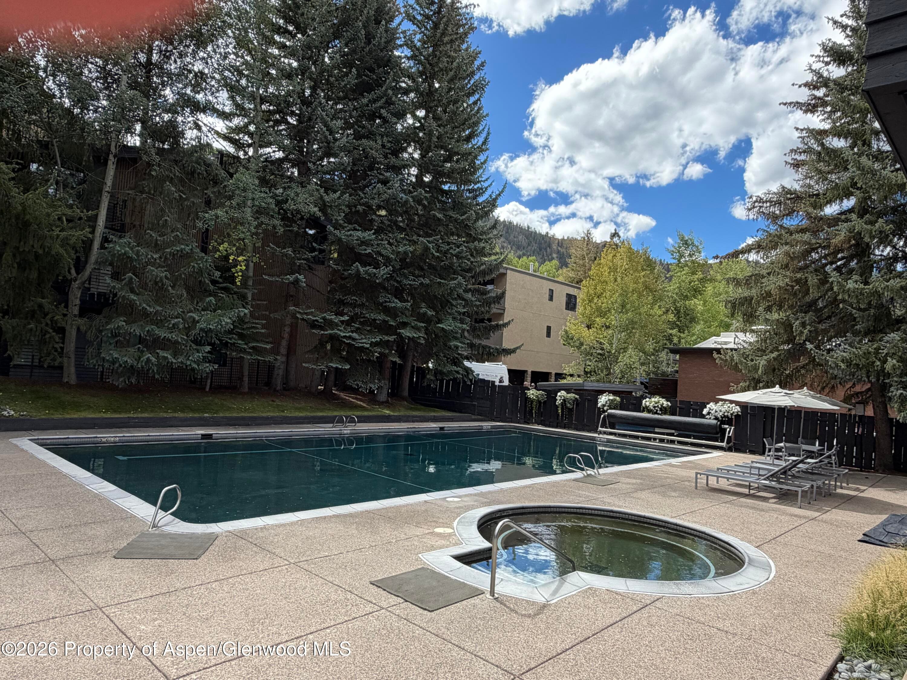 1039 E Cooper Avenue 11, Aspen, CO 81611 - Photo 2