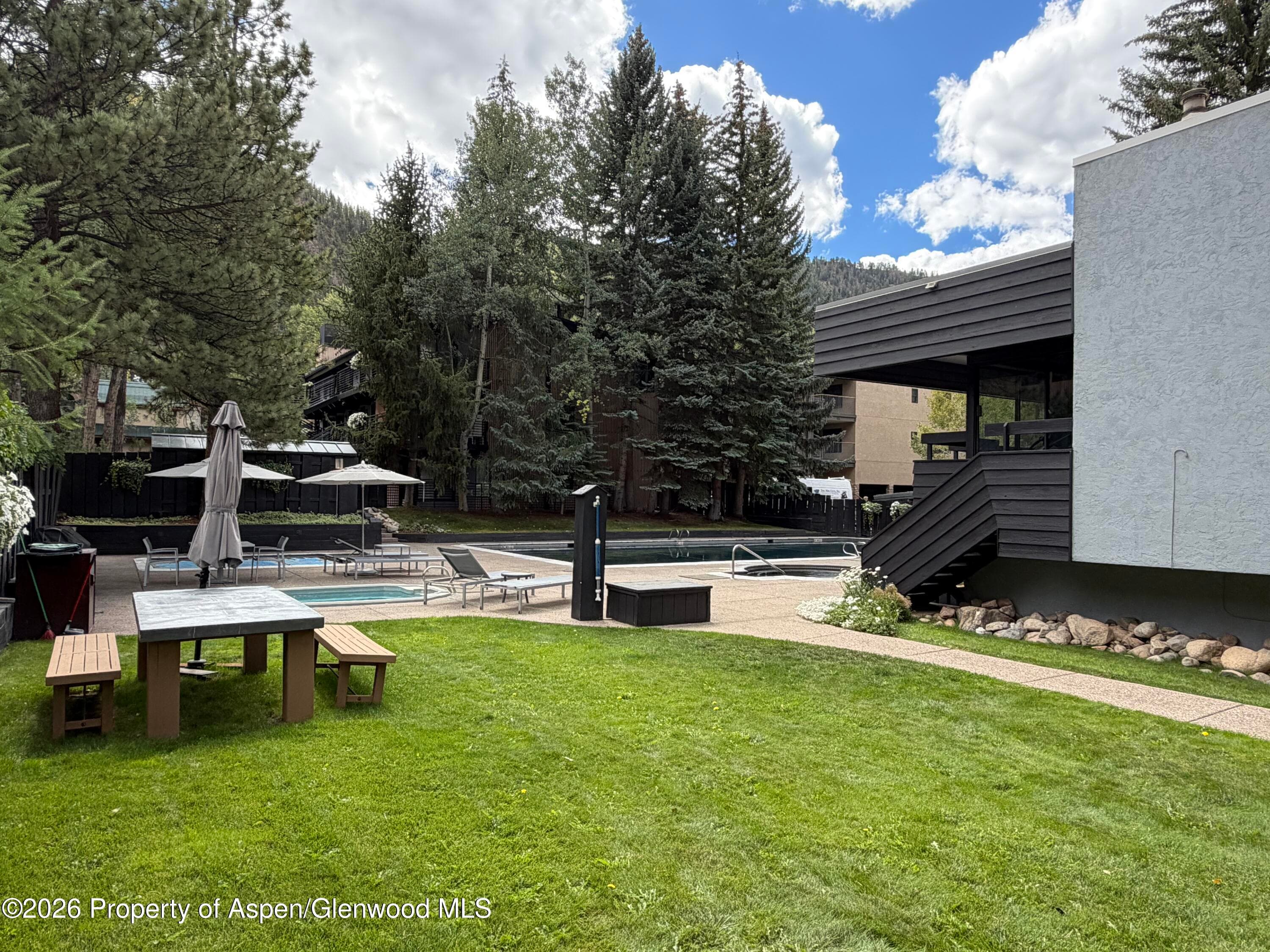 1039 E Cooper Avenue 11, Aspen, CO 81611 - Photo 3