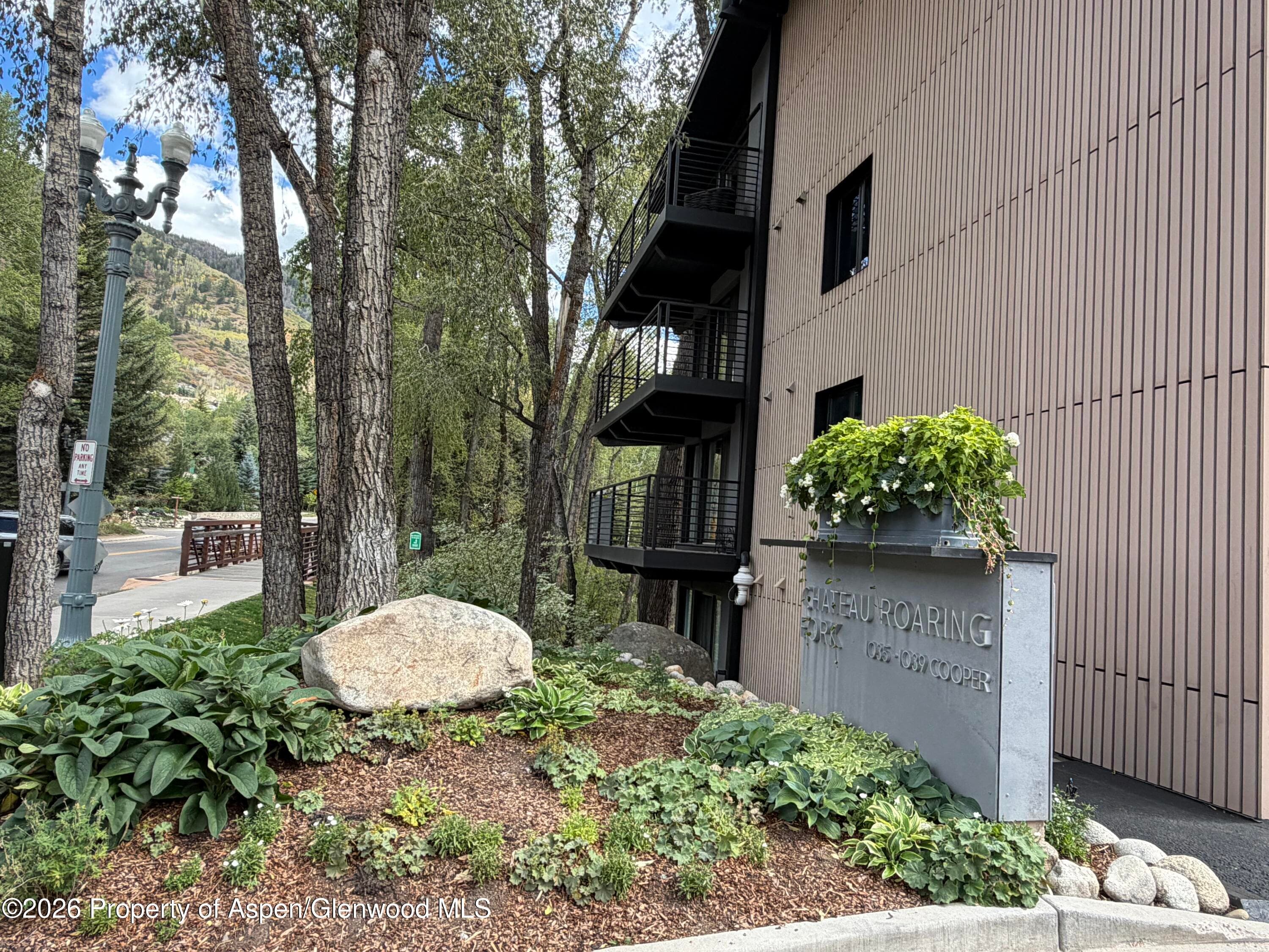1039 E Cooper Avenue 11, Aspen, CO 81611 - Photo 4