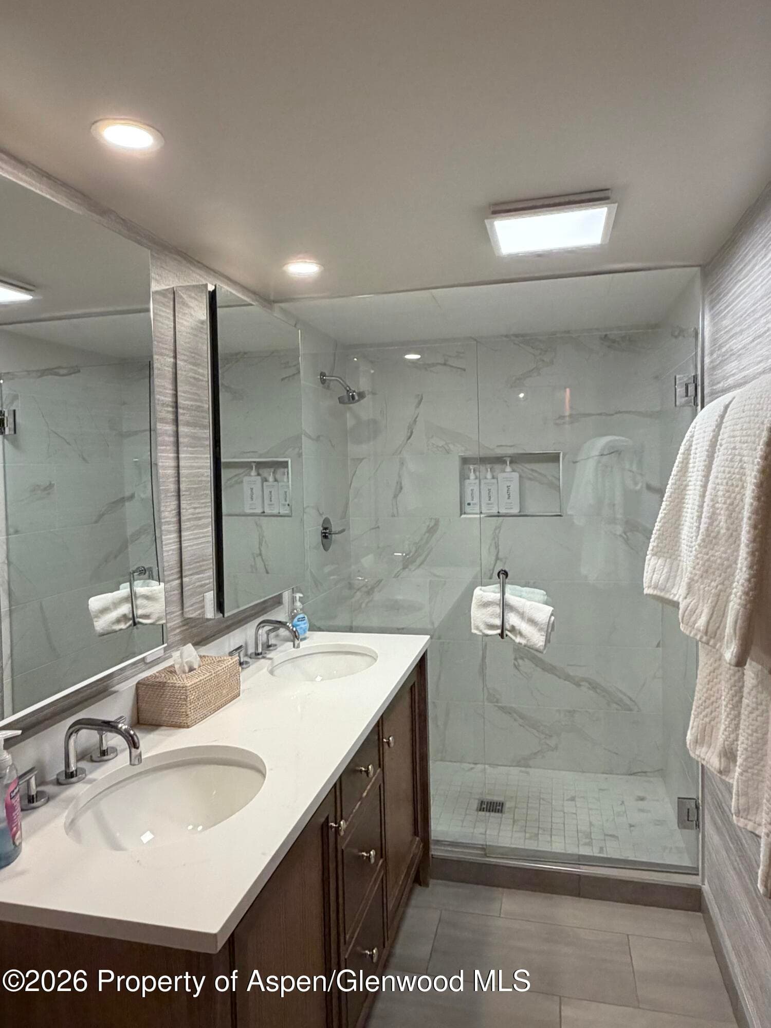 1039 E Cooper Avenue 11, Aspen, CO 81611 - Photo 11