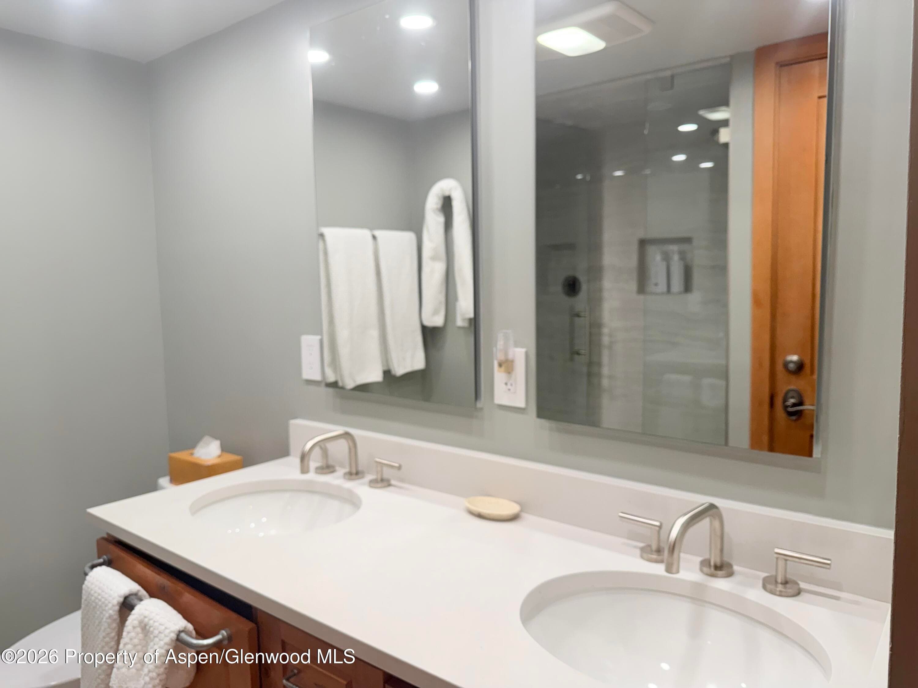 1039 E Cooper Avenue 11, Aspen, CO 81611 - Photo 9