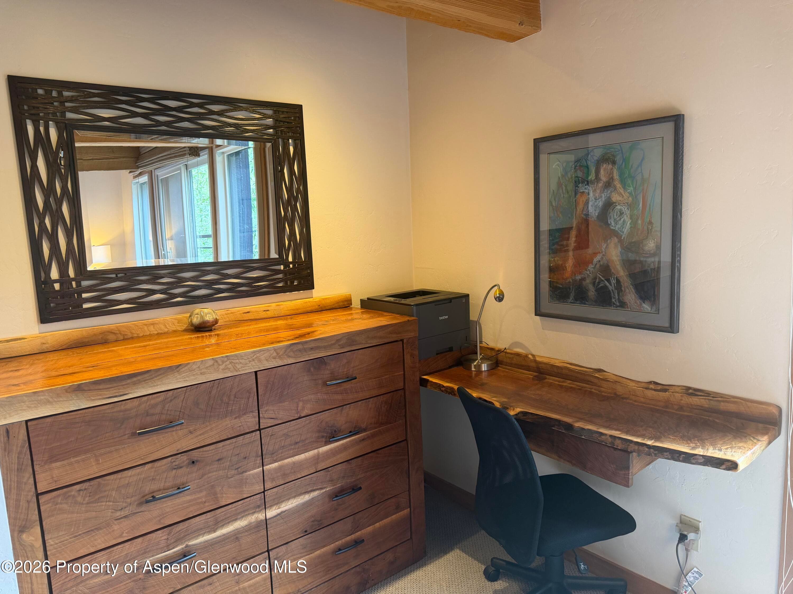 1039 E Cooper Avenue 11, Aspen, CO 81611 - Photo 6