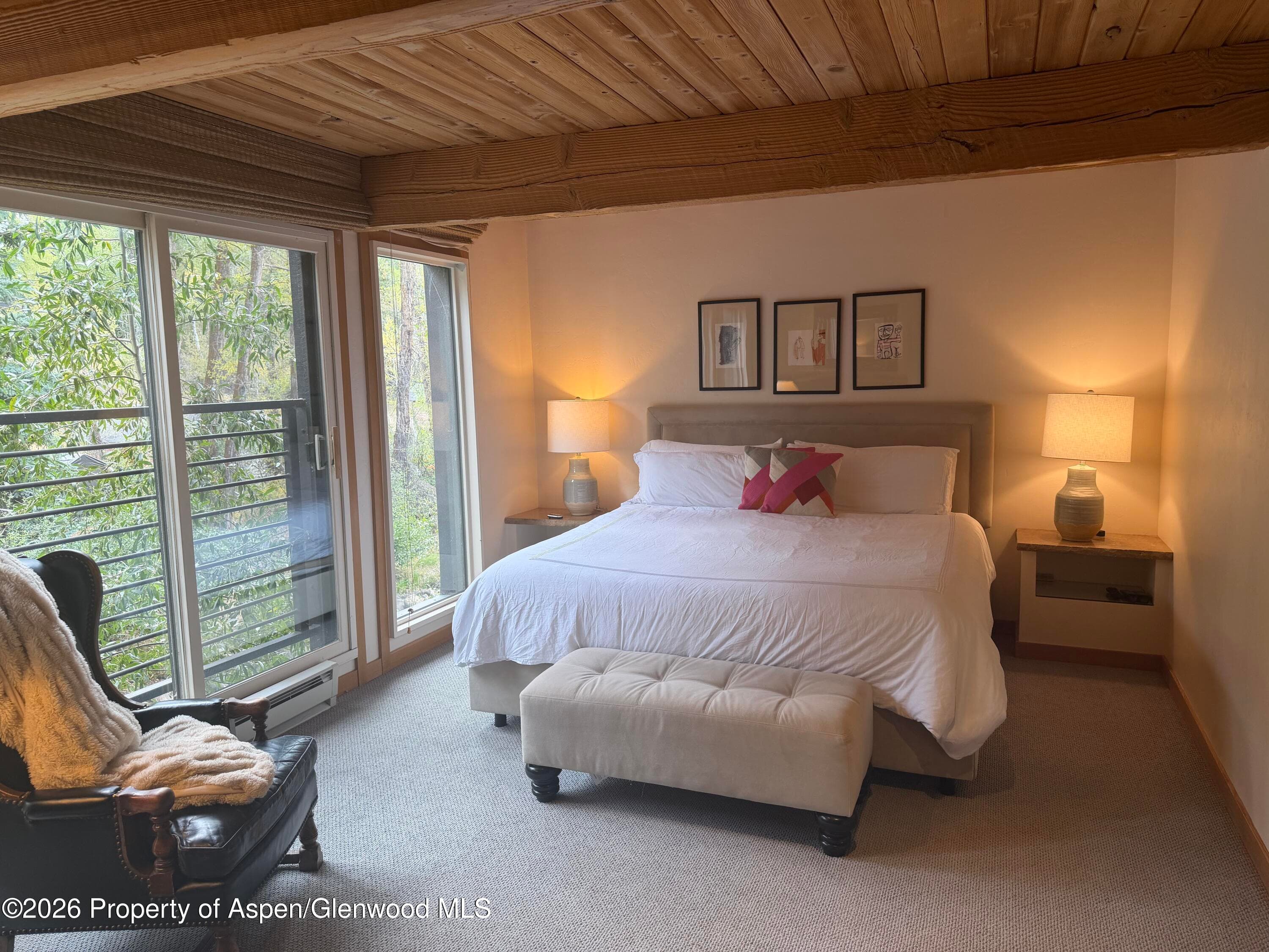 1039 E Cooper Avenue 11, Aspen, CO 81611 - Photo 7