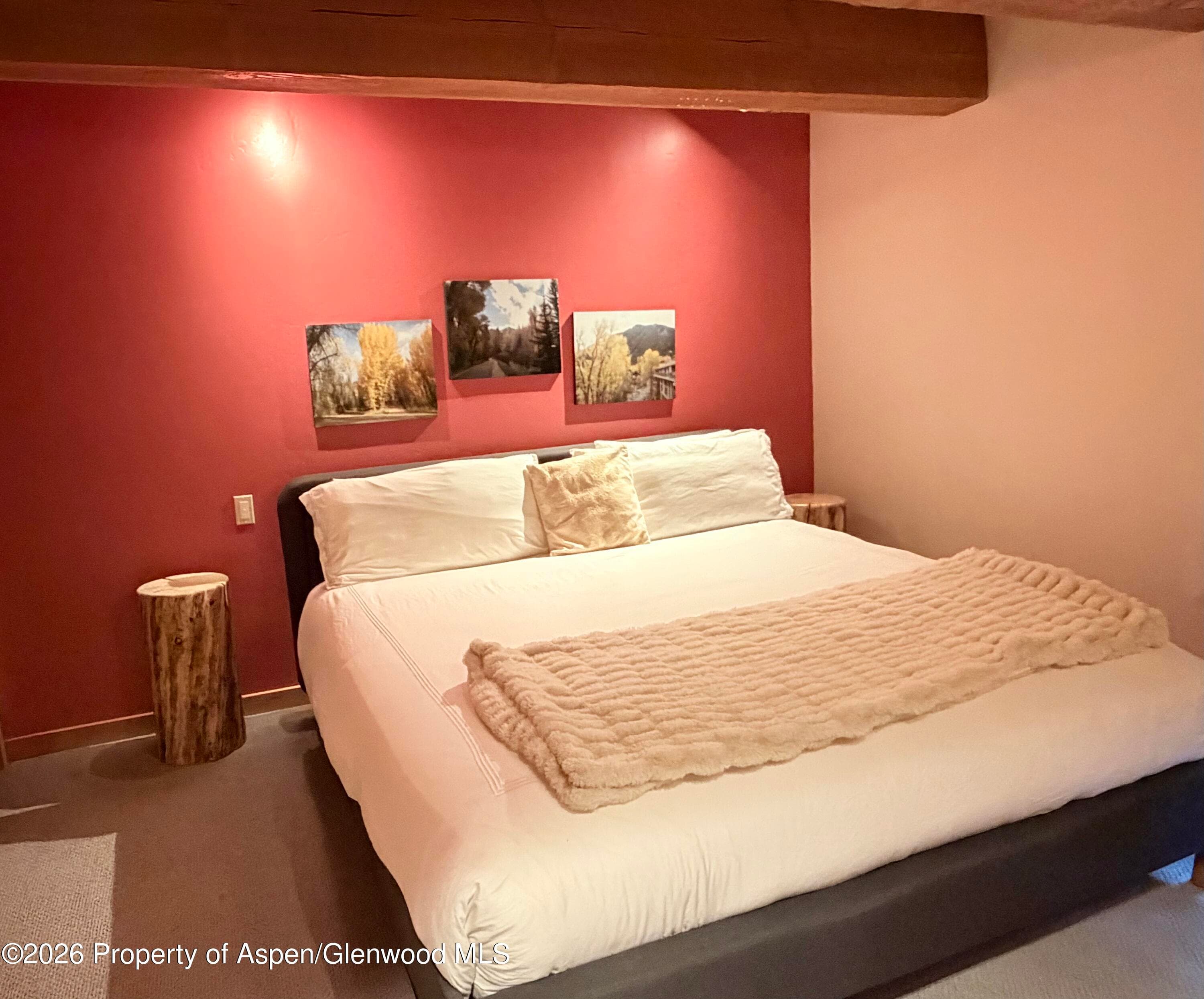 1039 E Cooper Avenue 11, Aspen, CO 81611 - Photo 10