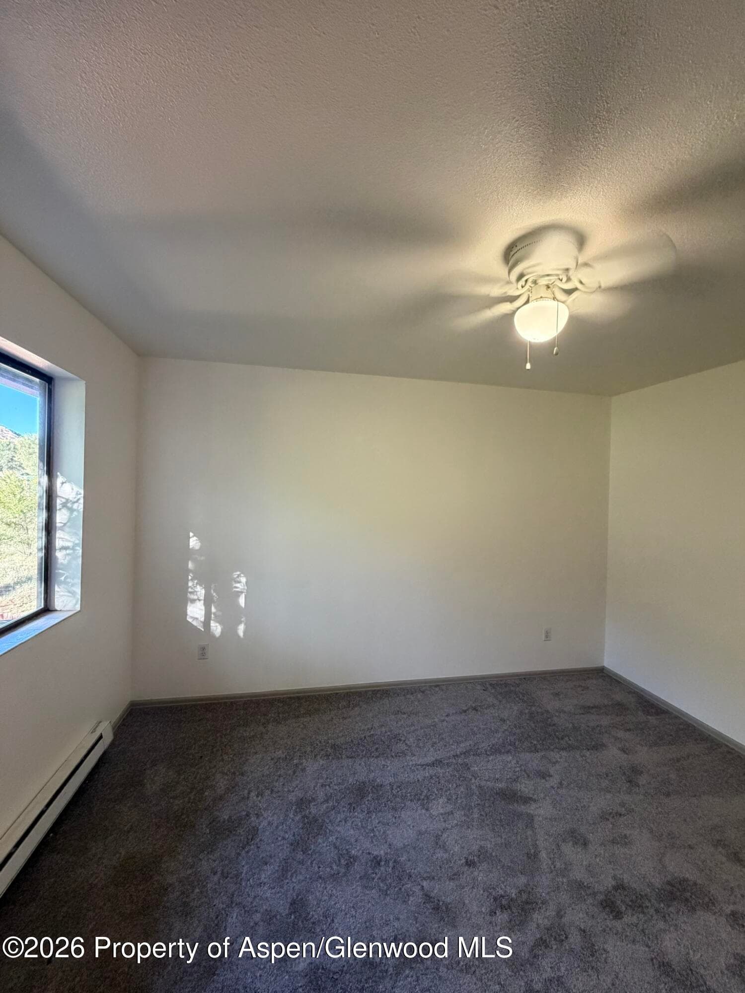 359 S 9th Street, Rifle, CO 81650 - Photo 6