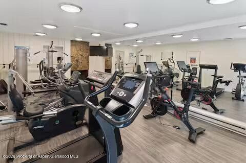 1039 E Cooper Avenue 11, Aspen, CO 81611 - Photo 5