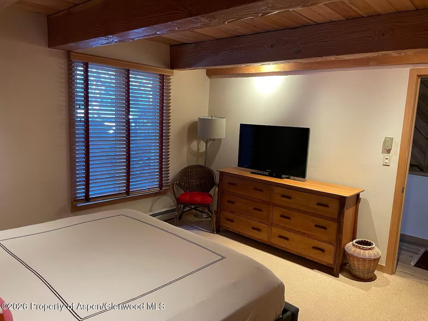 1039 E Cooper Avenue 11, Aspen, CO 81611 - Photo 14