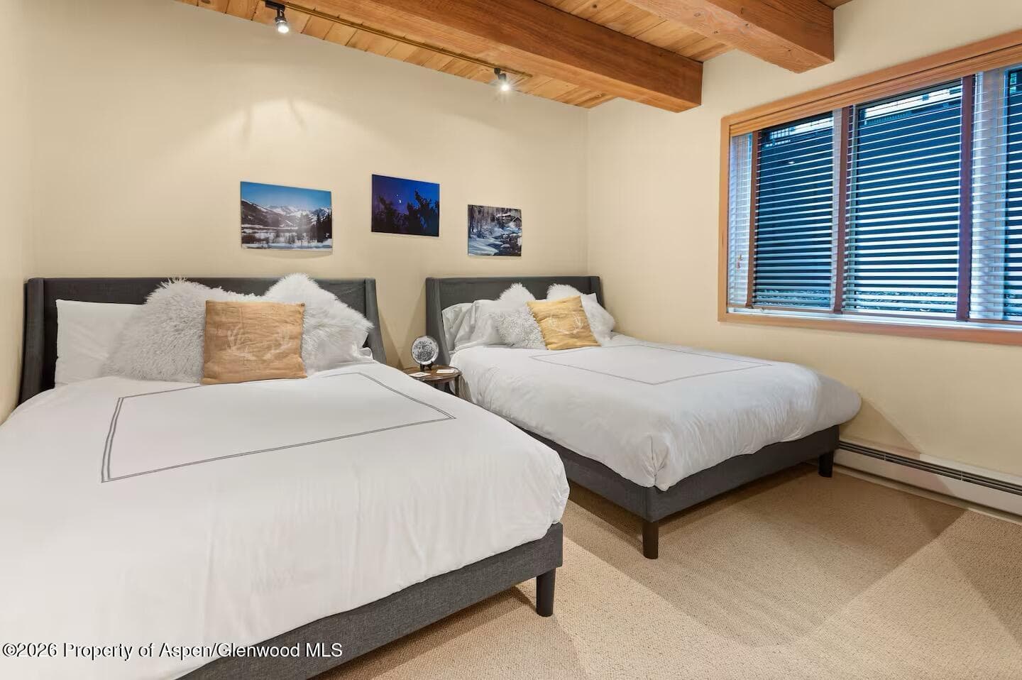 1039 E Cooper Avenue 11, Aspen, CO 81611 - Photo 15