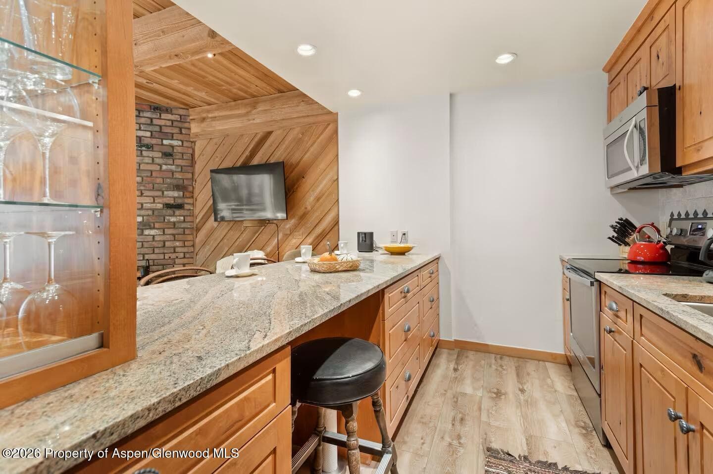 1039 E Cooper Avenue 11, Aspen, CO 81611 - Photo 18