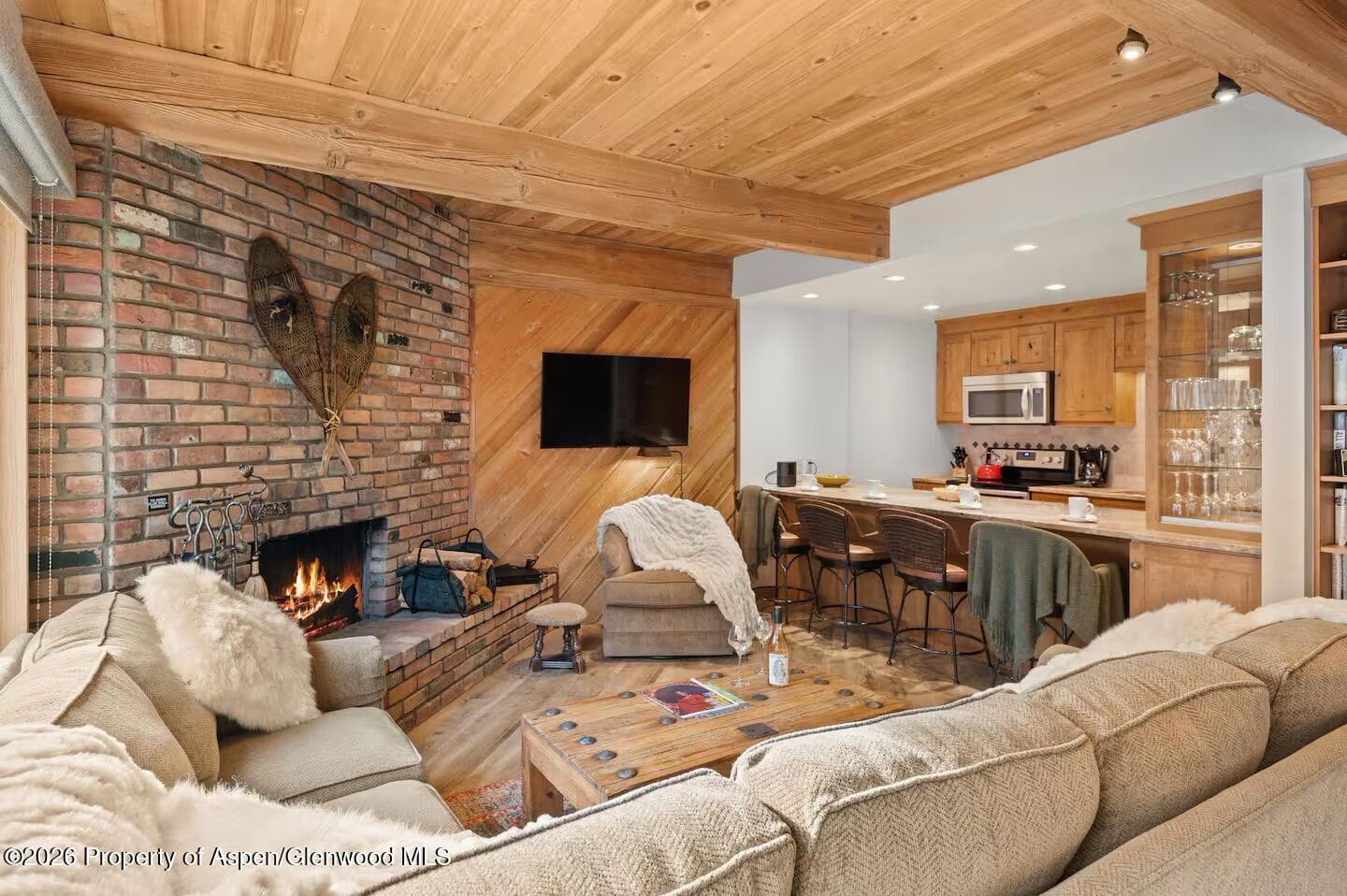 1039 E Cooper Avenue 11, Aspen, CO 81611 - Photo 20