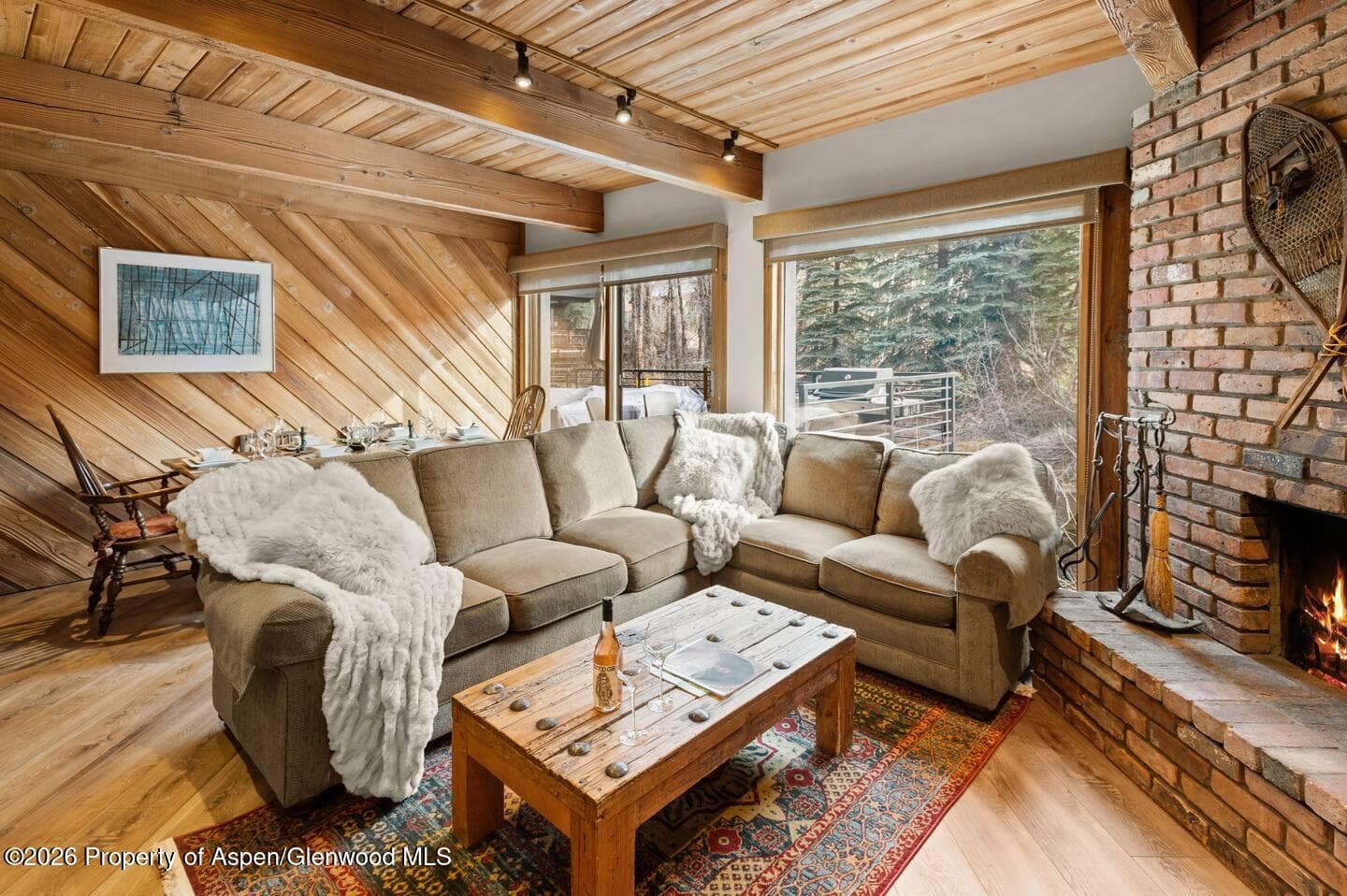 1039 E Cooper Avenue 11, Aspen, CO 81611 - Photo 21
