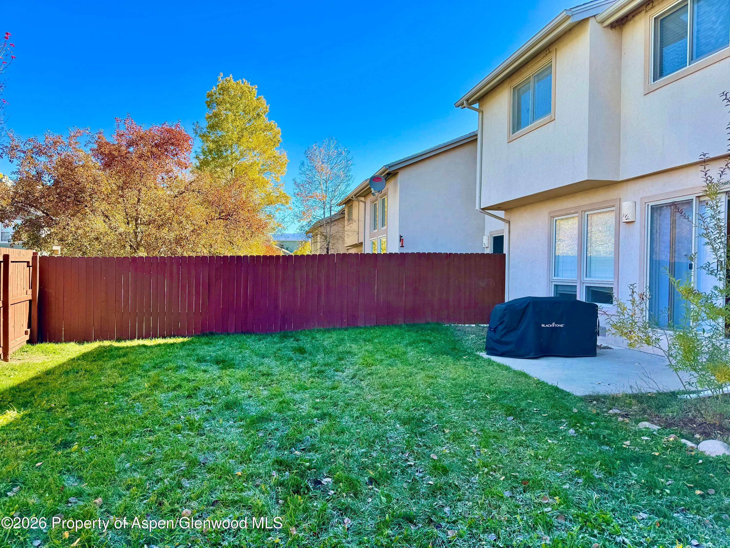 1167 Vitos Way, Carbondale, CO 81623 - Photo 25
