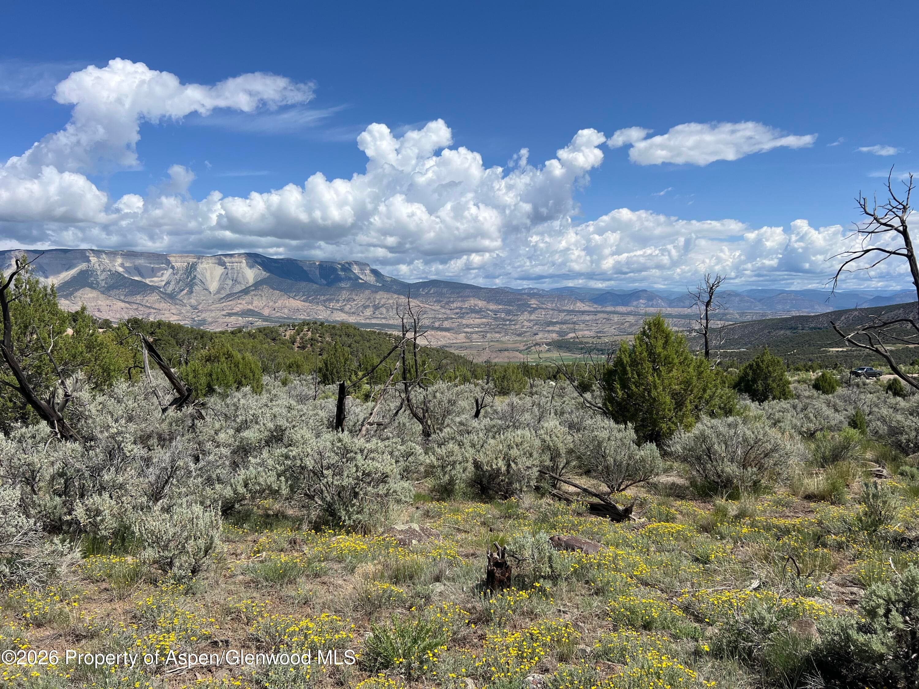 Tbd County Road 325, Rifle, CO 81650 - Photo 8