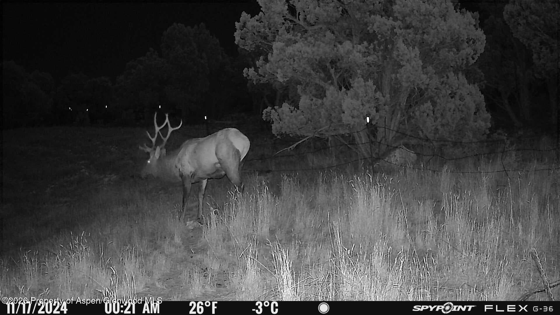 Tbd County Road 325, Rifle, CO 81650 - Photo 11