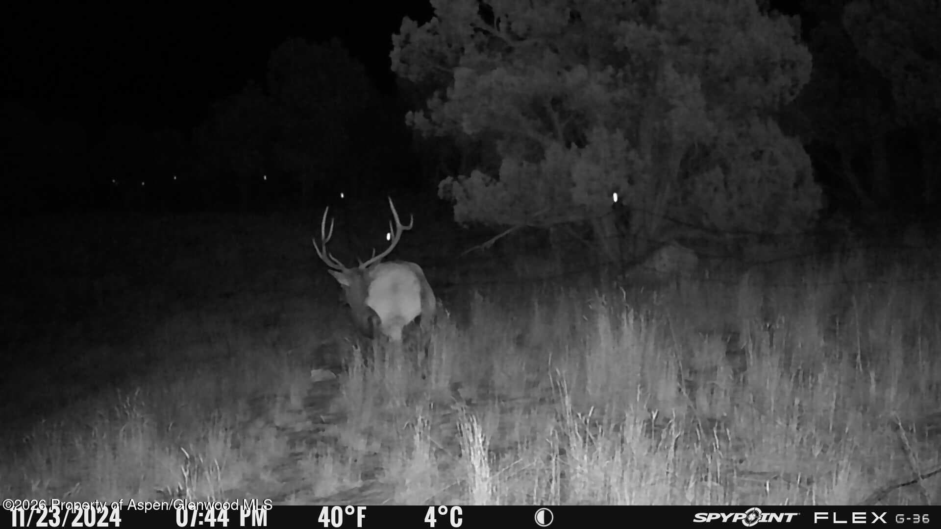 Tbd County Road 325, Rifle, CO 81650 - Photo 12