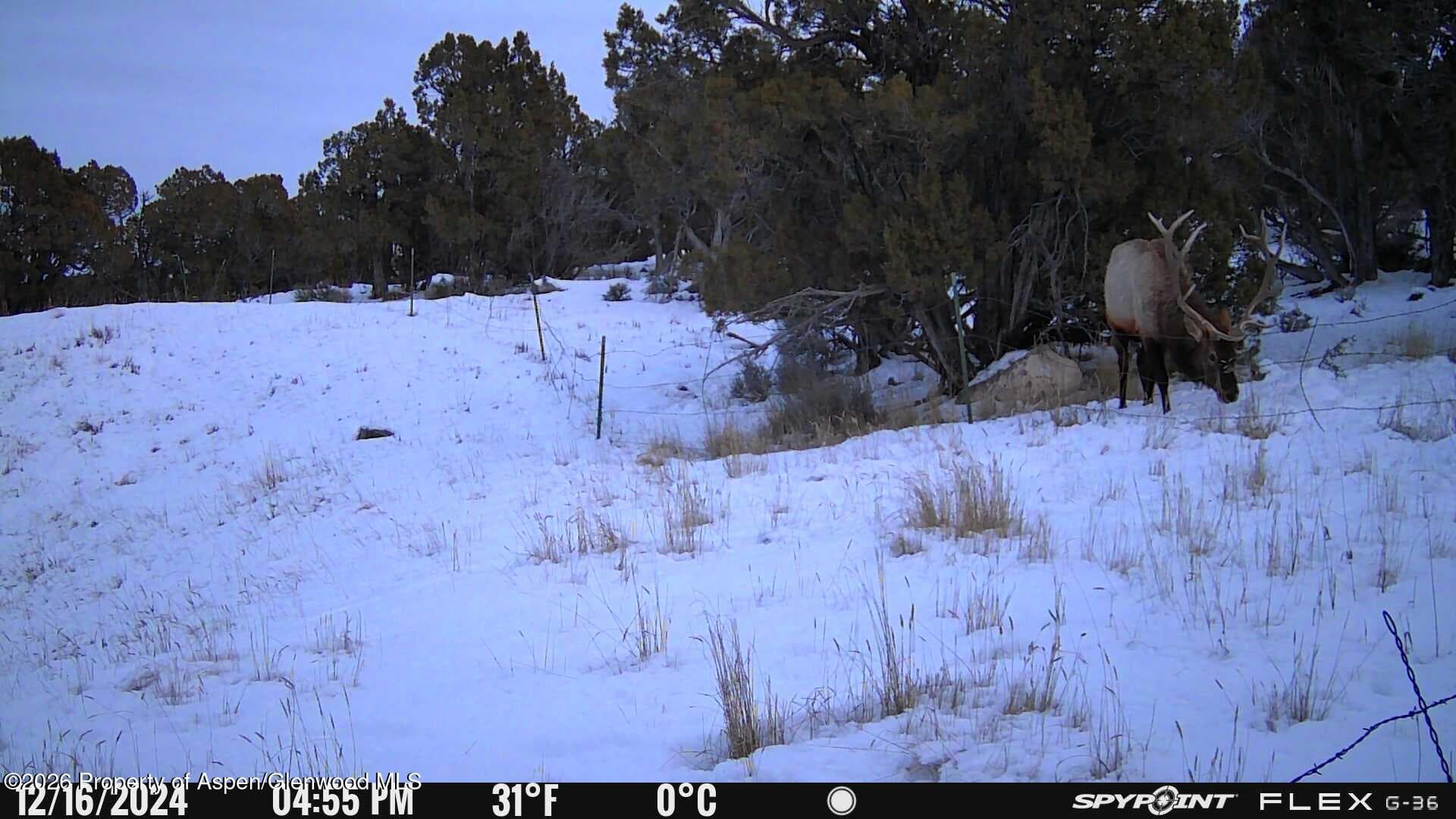 Tbd County Road 325, Rifle, CO 81650 - Photo 9
