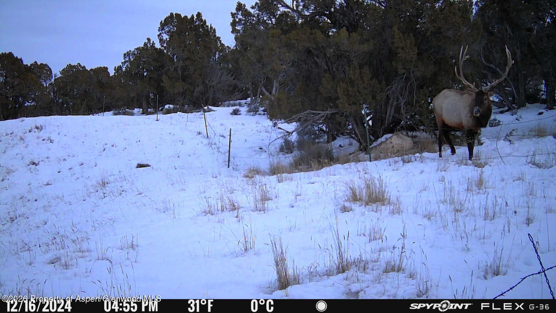 Tbd County Road 325, Rifle, CO 81650 - Photo 10