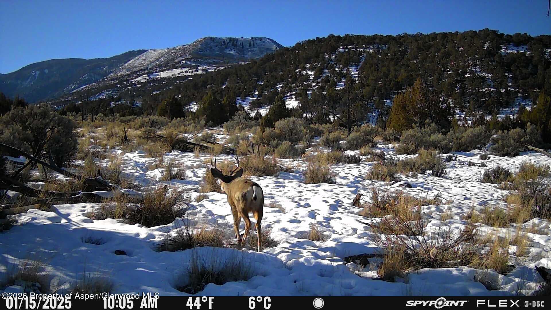 Tbd County Road 325, Rifle, CO 81650 - Photo 17
