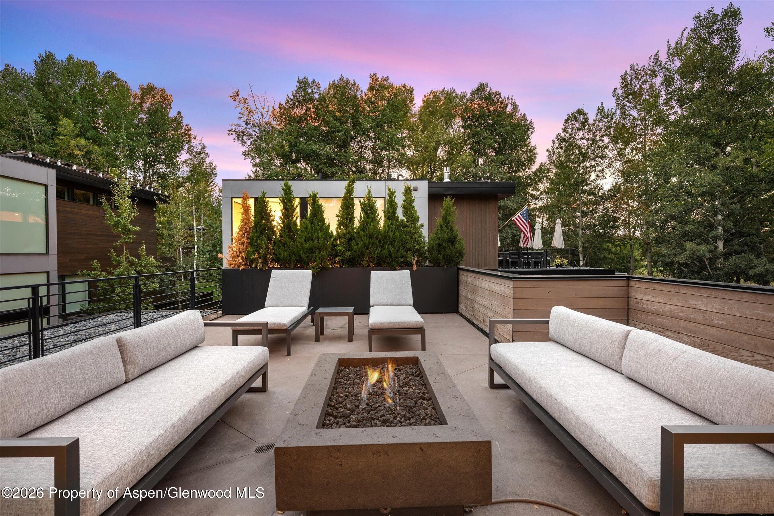 725 Cemetery Lane A, Aspen, CO 81611 - Photo 41