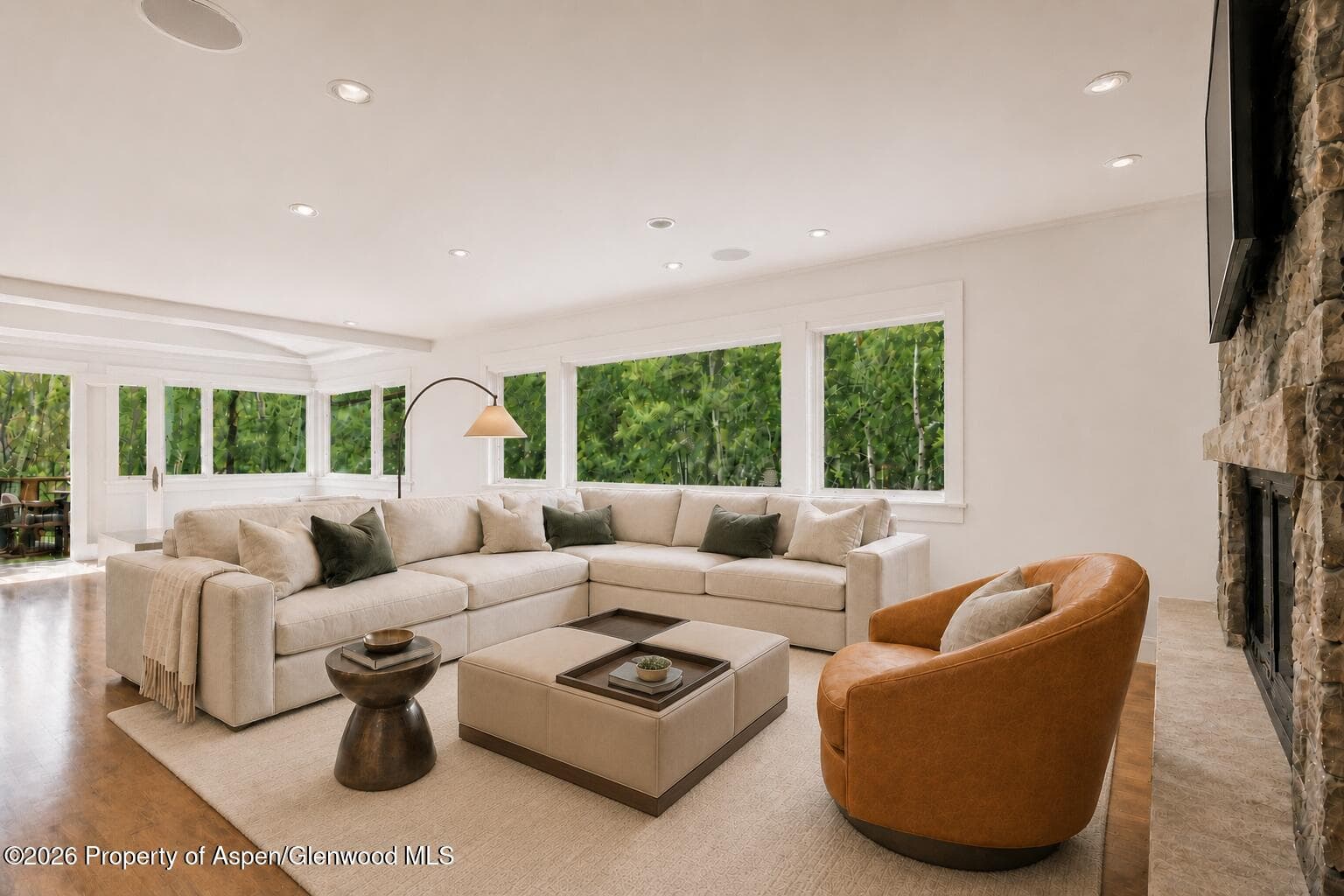 203 Eastwood Drive, Aspen, CO 81611 - Photo 2