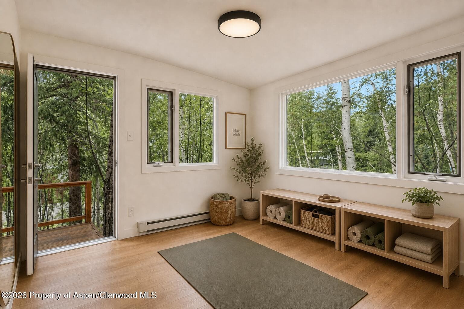 203 Eastwood Drive, Aspen, CO 81611 - Photo 11