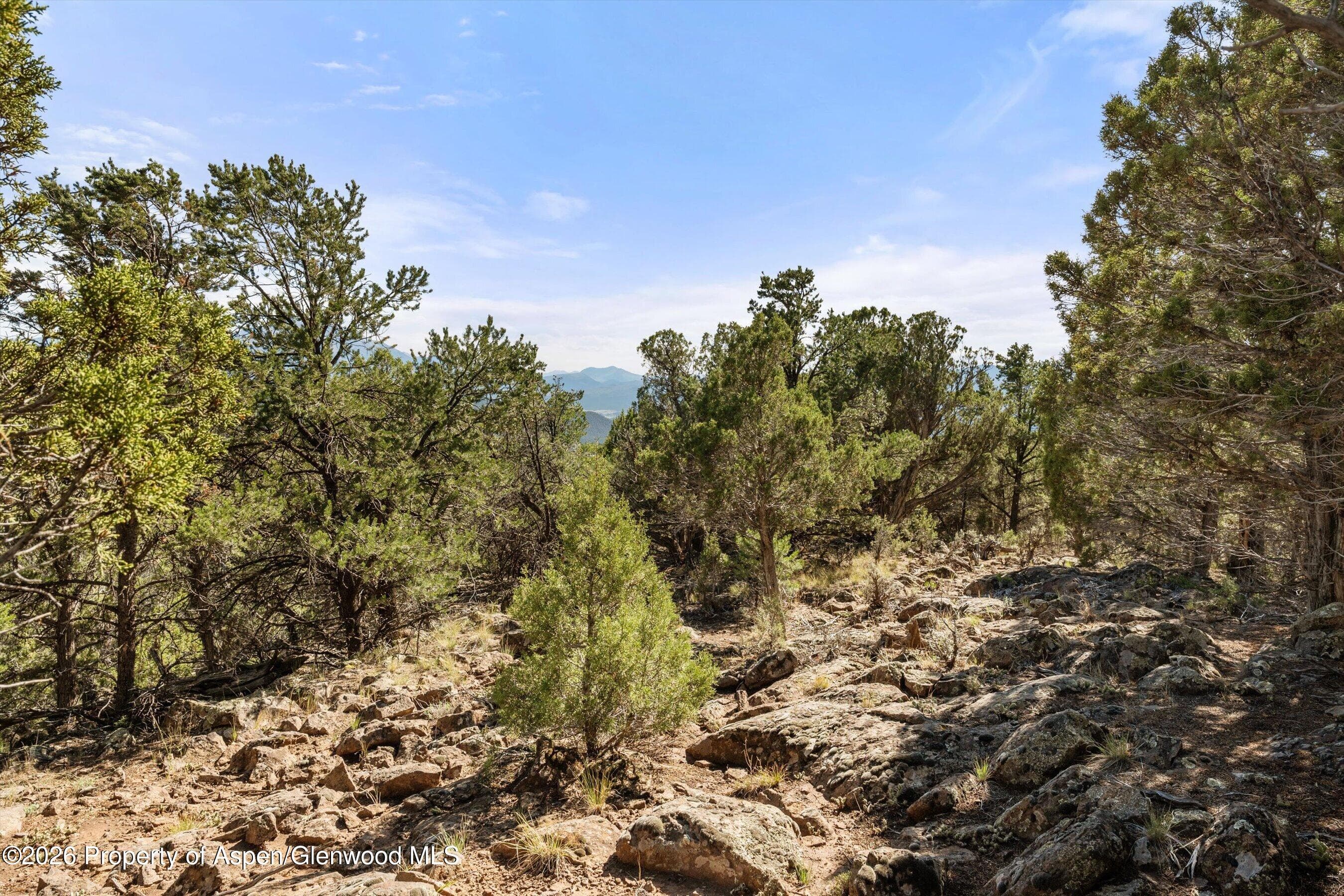 198 Crescent Lane, Glenwood Springs, CO 81601 - Photo 9