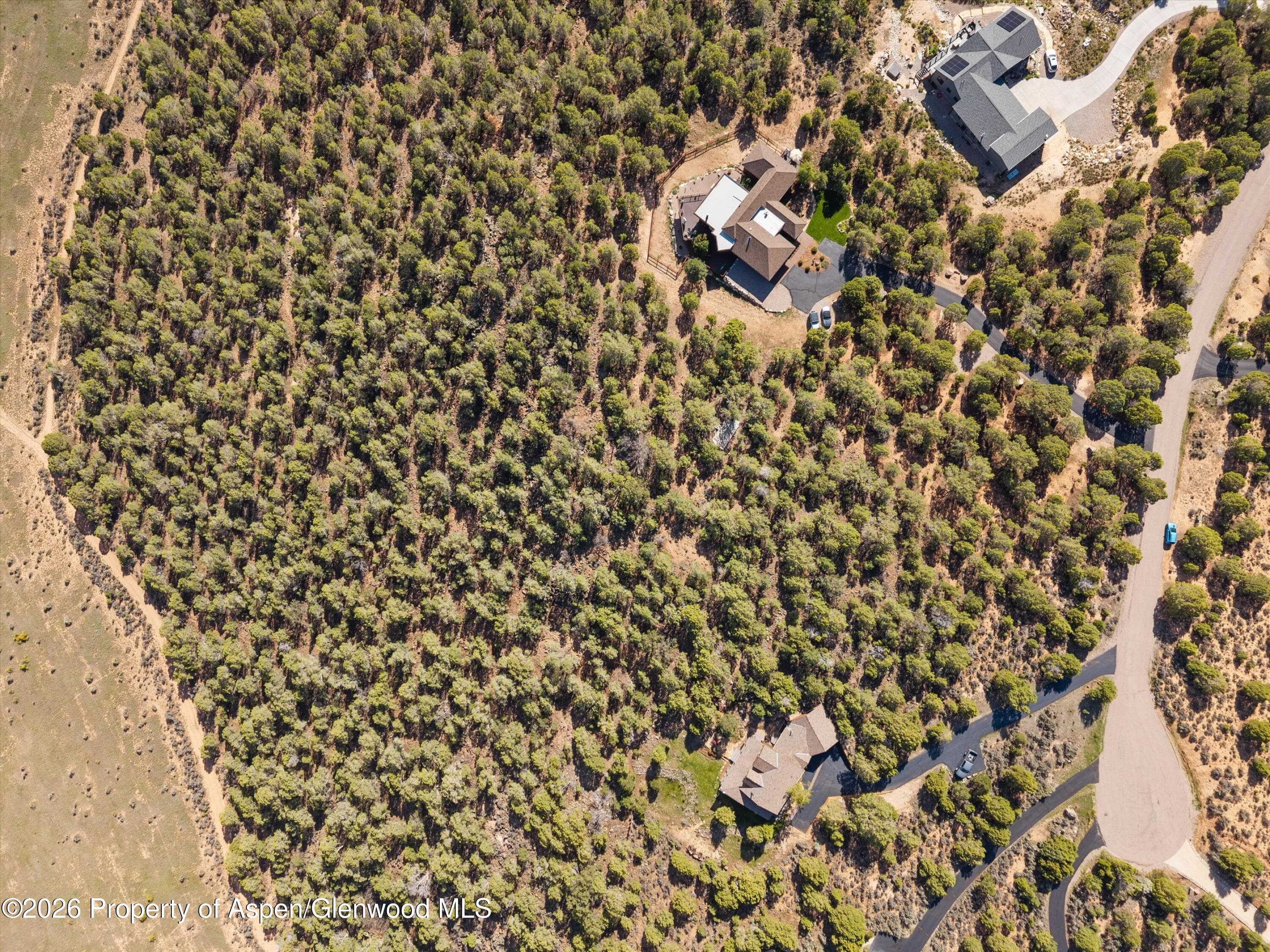 198 Crescent Lane, Glenwood Springs, CO 81601 - Photo 6