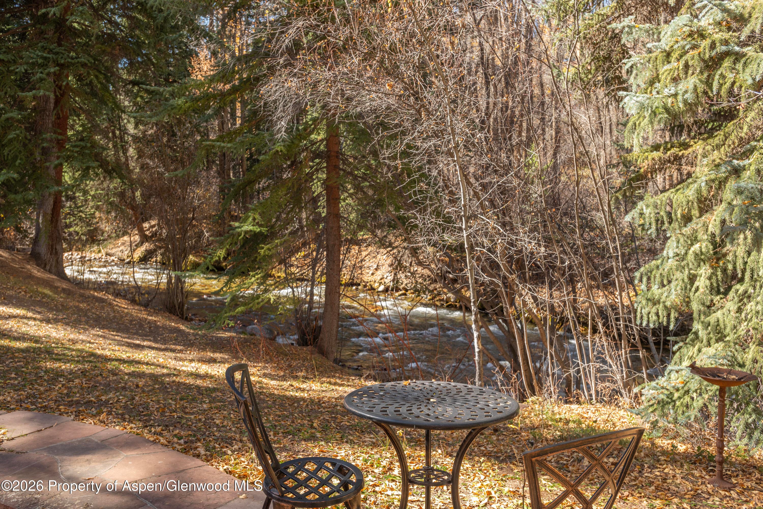 635 Sneaky Lane, Aspen, CO 81611 - Photo 10