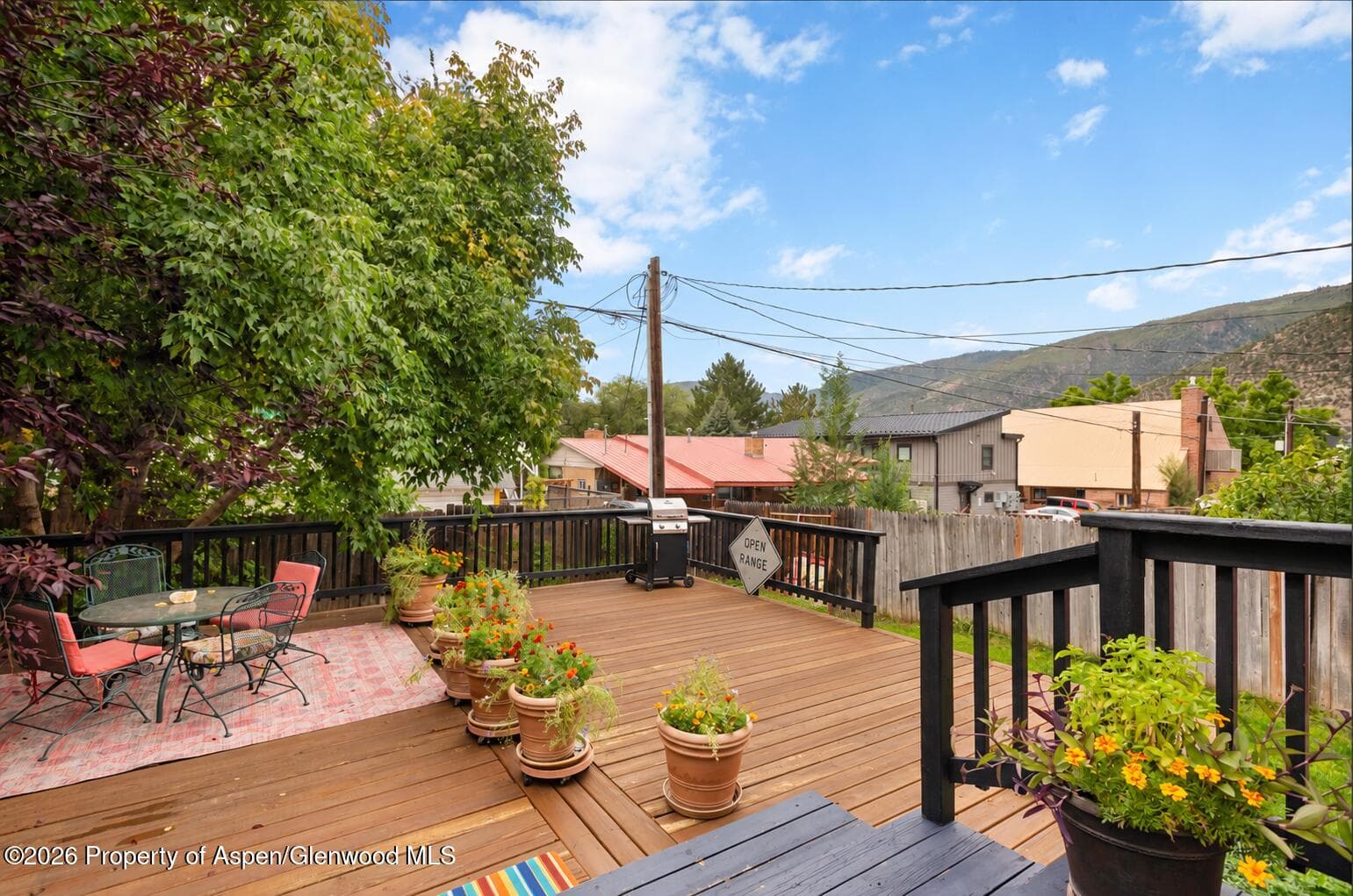 1017 Cooper Avenue, Glenwood Springs, CO 81601 - Photo 16
