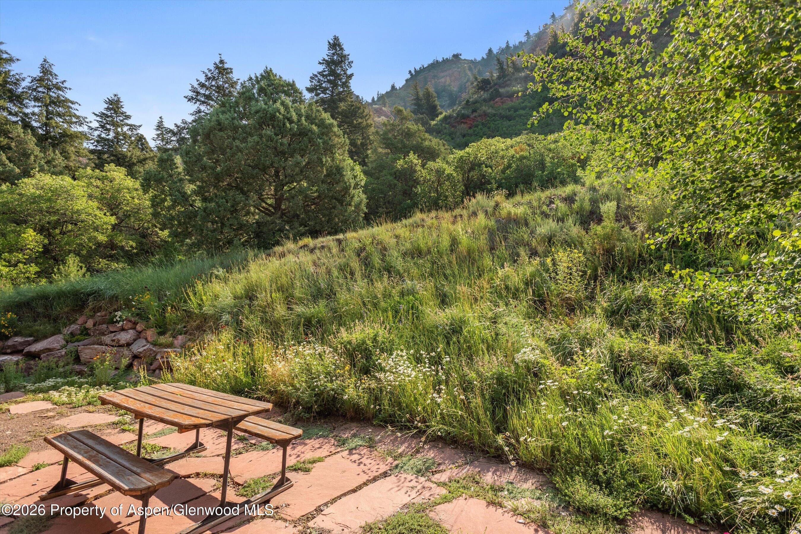 515 Crystal Circle, Carbondale, CO 81623 - Photo 43