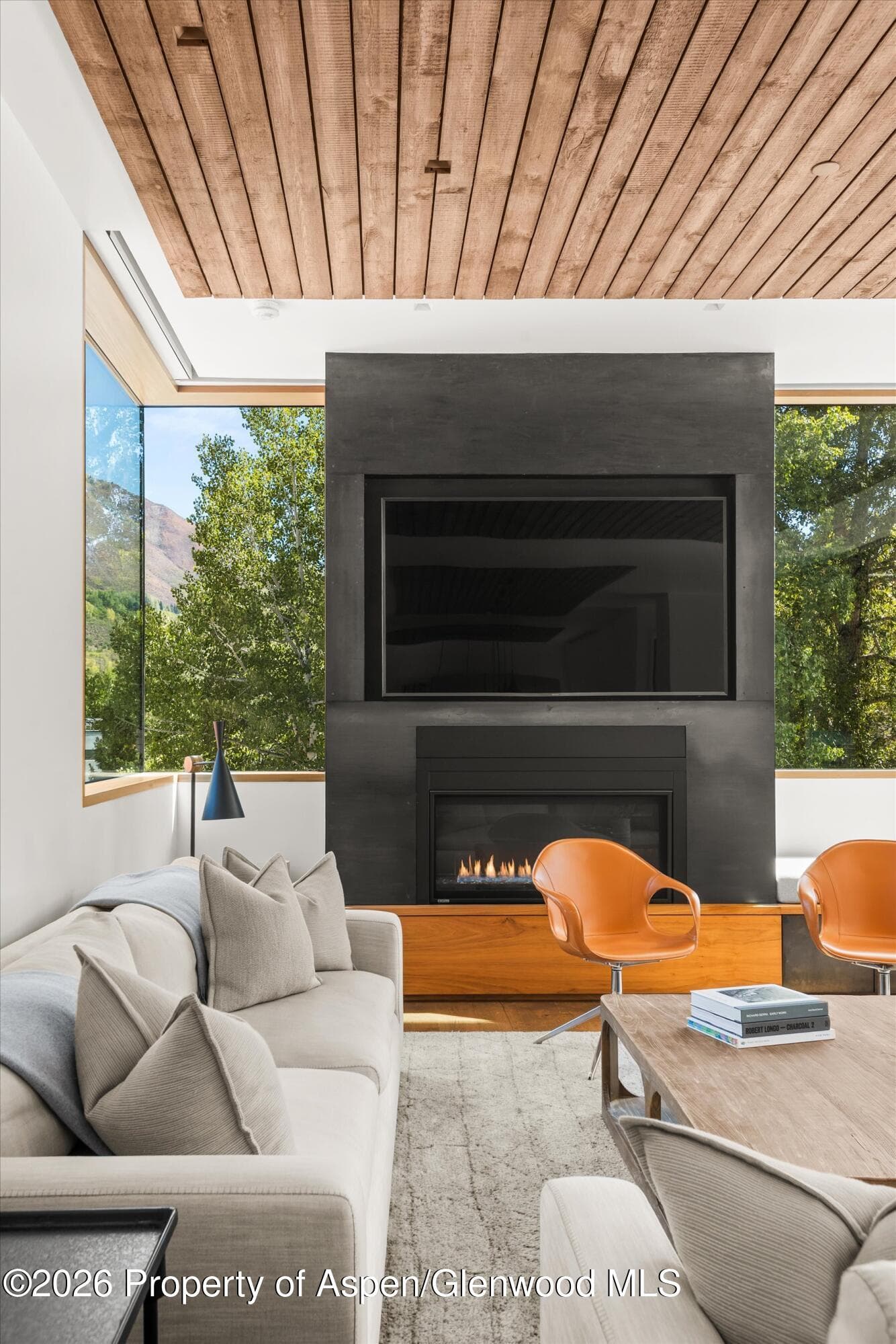 1035 Cemetery Lane, Aspen, CO 81611 - Photo 8
