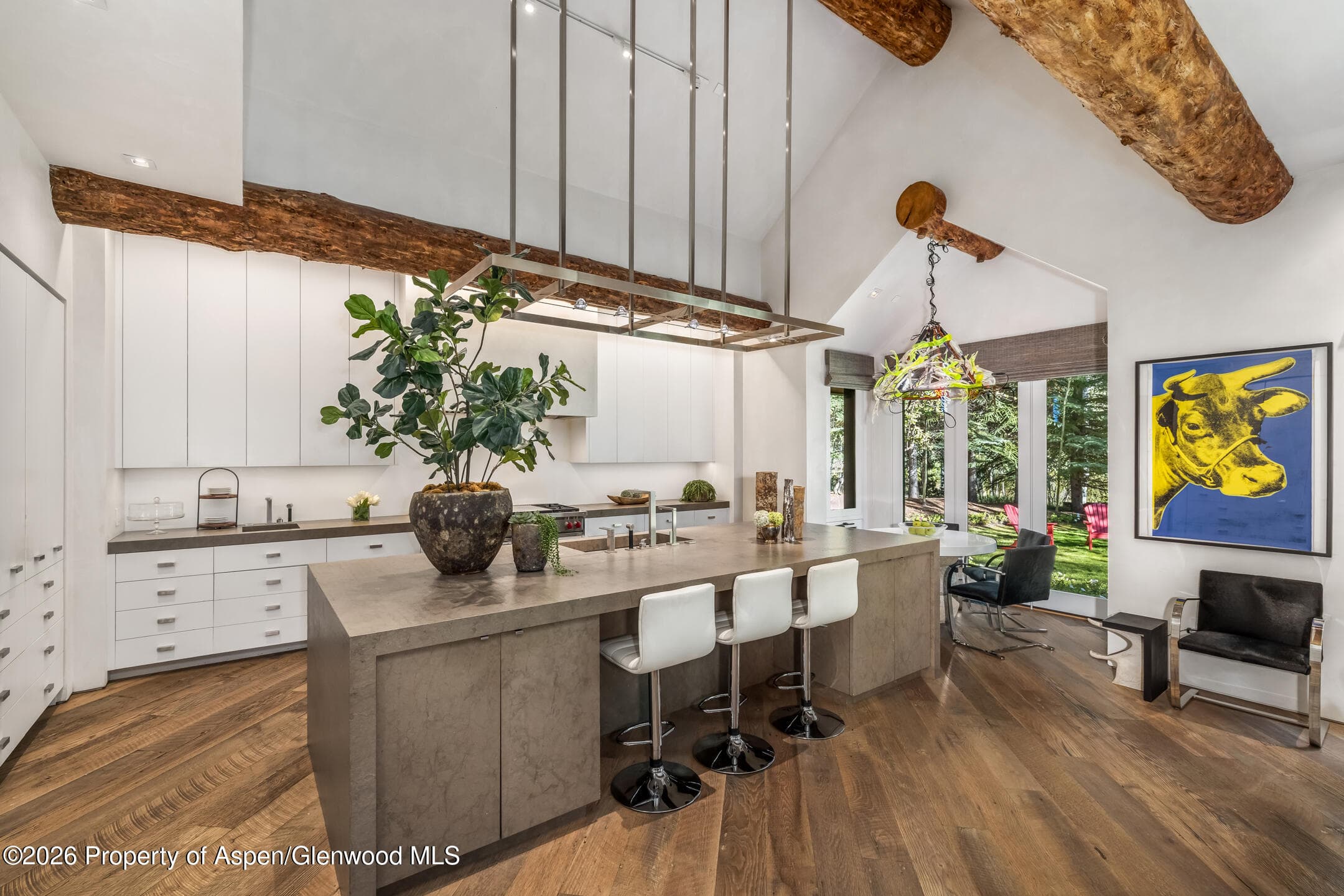 257 Northstar Drive, Aspen, CO 81611 - Photo 9