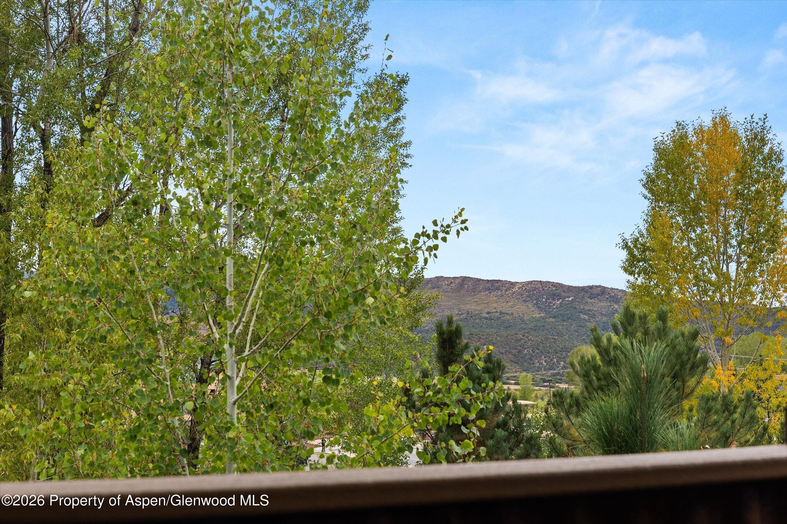118 Juniper Trail, Carbondale, CO 81623 - Photo 19