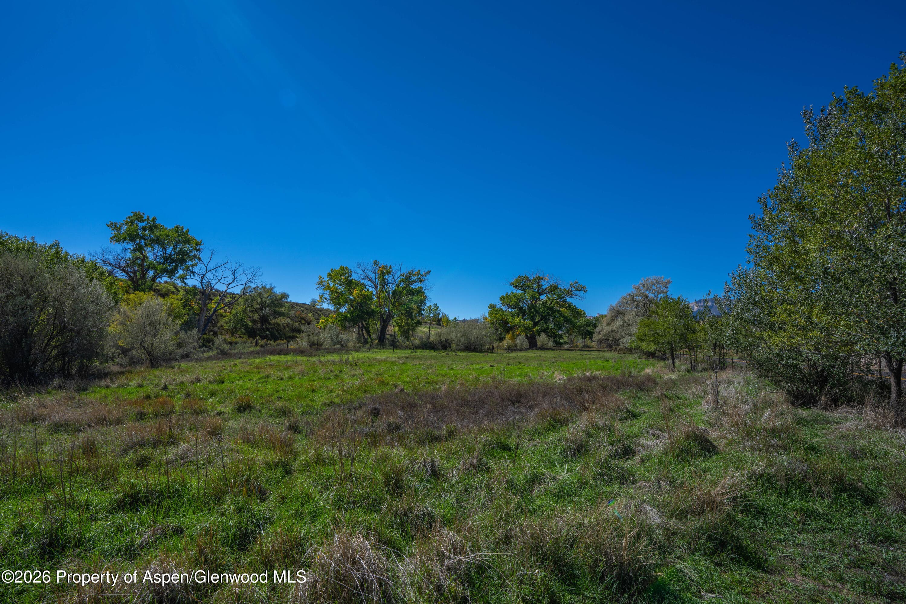 301 W 16th Street, Rifle, CO 81650 - Photo 4