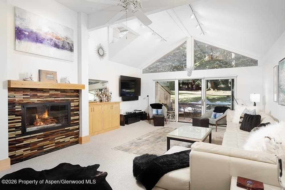 625 S West End Street 8, Aspen, CO 81611