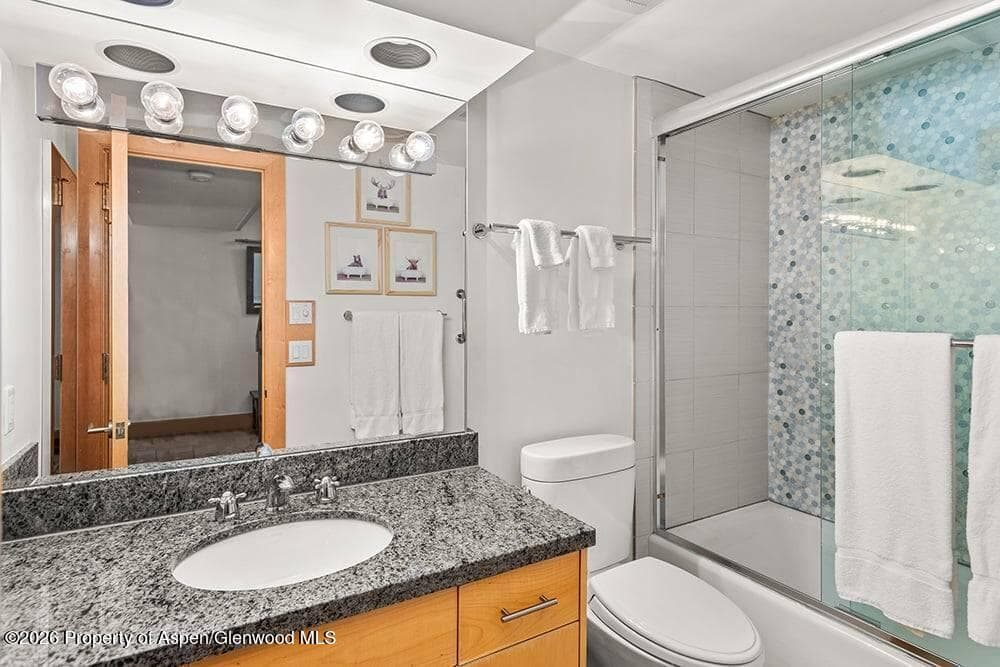 625 S West End Street 8, Aspen, CO 81611 - Photo 10