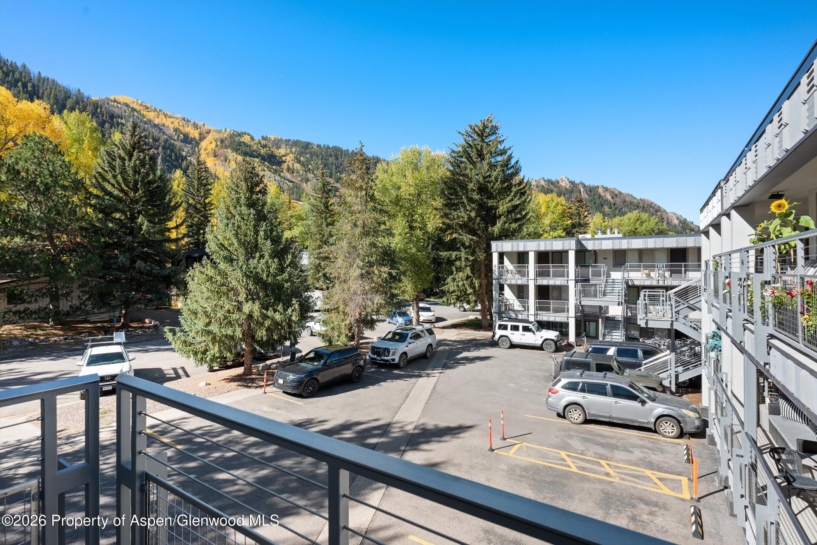 940 Waters Avenue #303, Aspen, CO 81611 - Photo 8