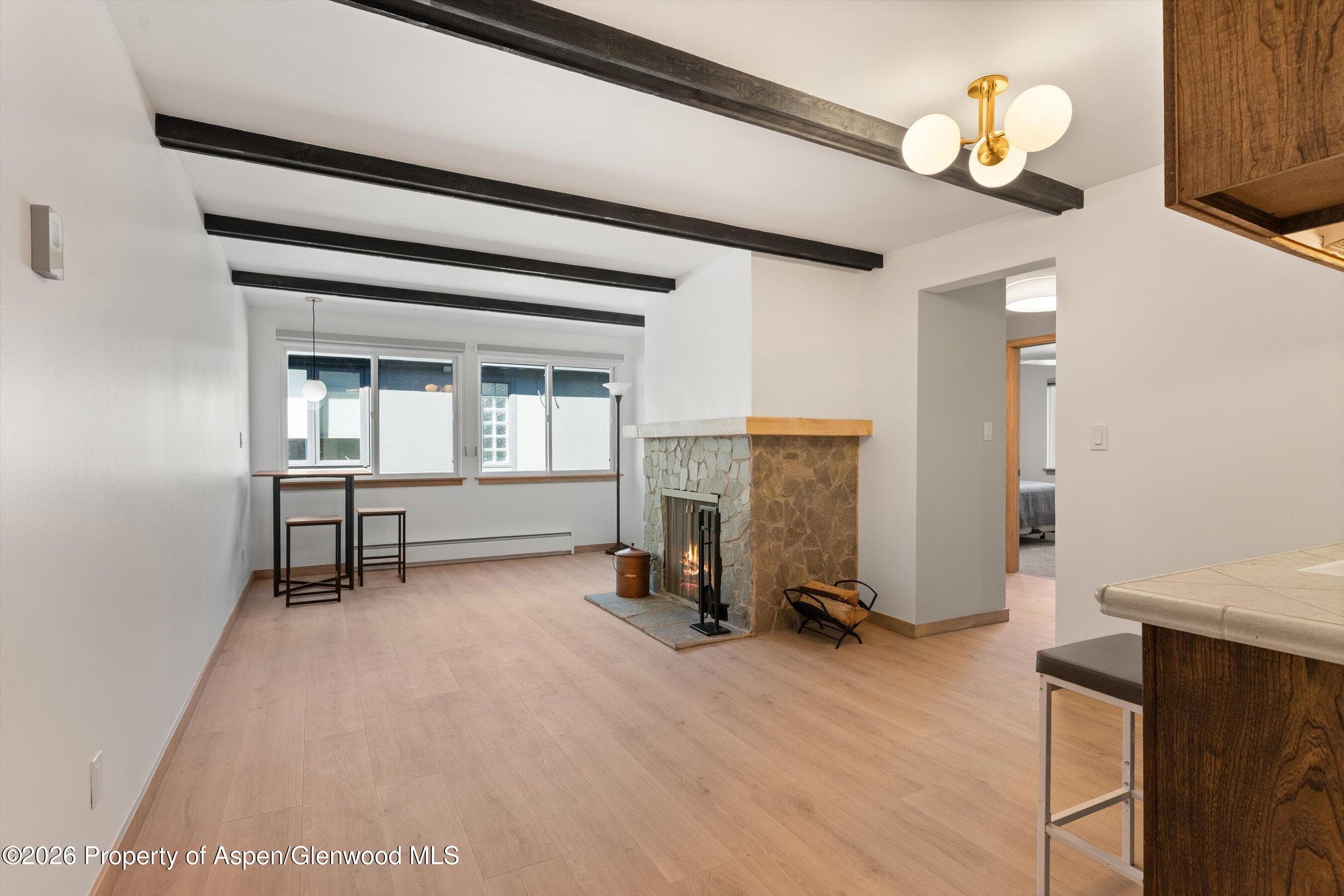 940 Waters Avenue #303, Aspen, CO 81611 - Photo 5