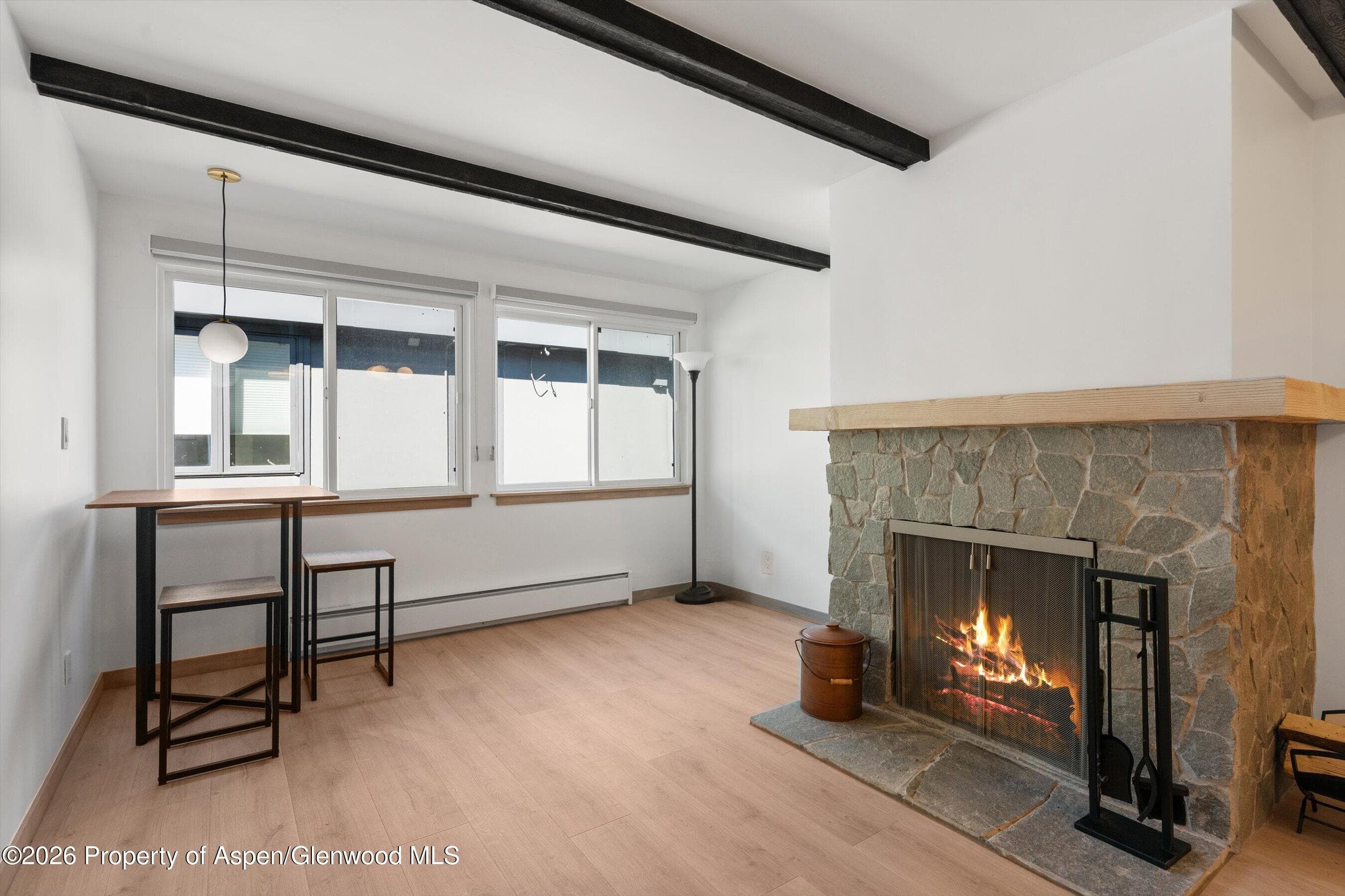 940 Waters Avenue #303, Aspen, CO 81611 - Photo 3