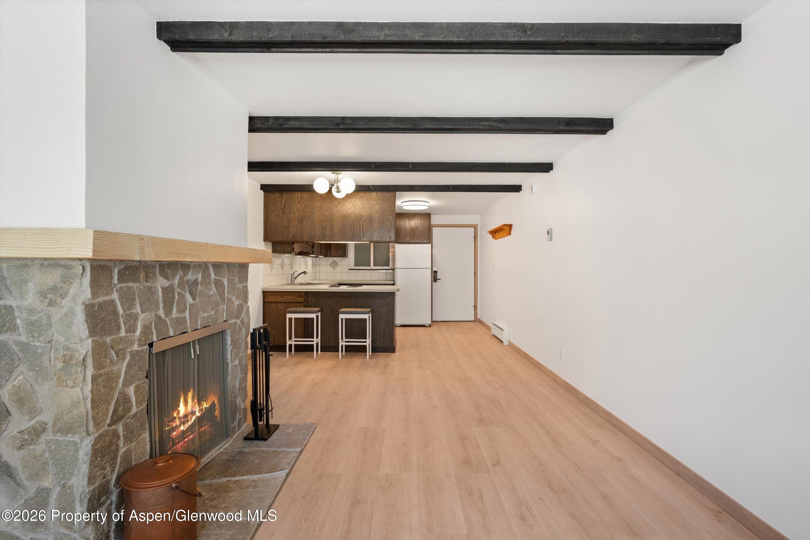 940 Waters Avenue #303, Aspen, CO 81611 - Photo 4