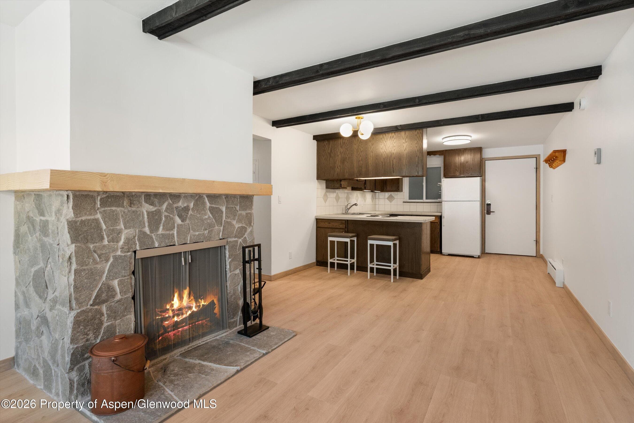 940 Waters Avenue #303, Aspen, CO 81611