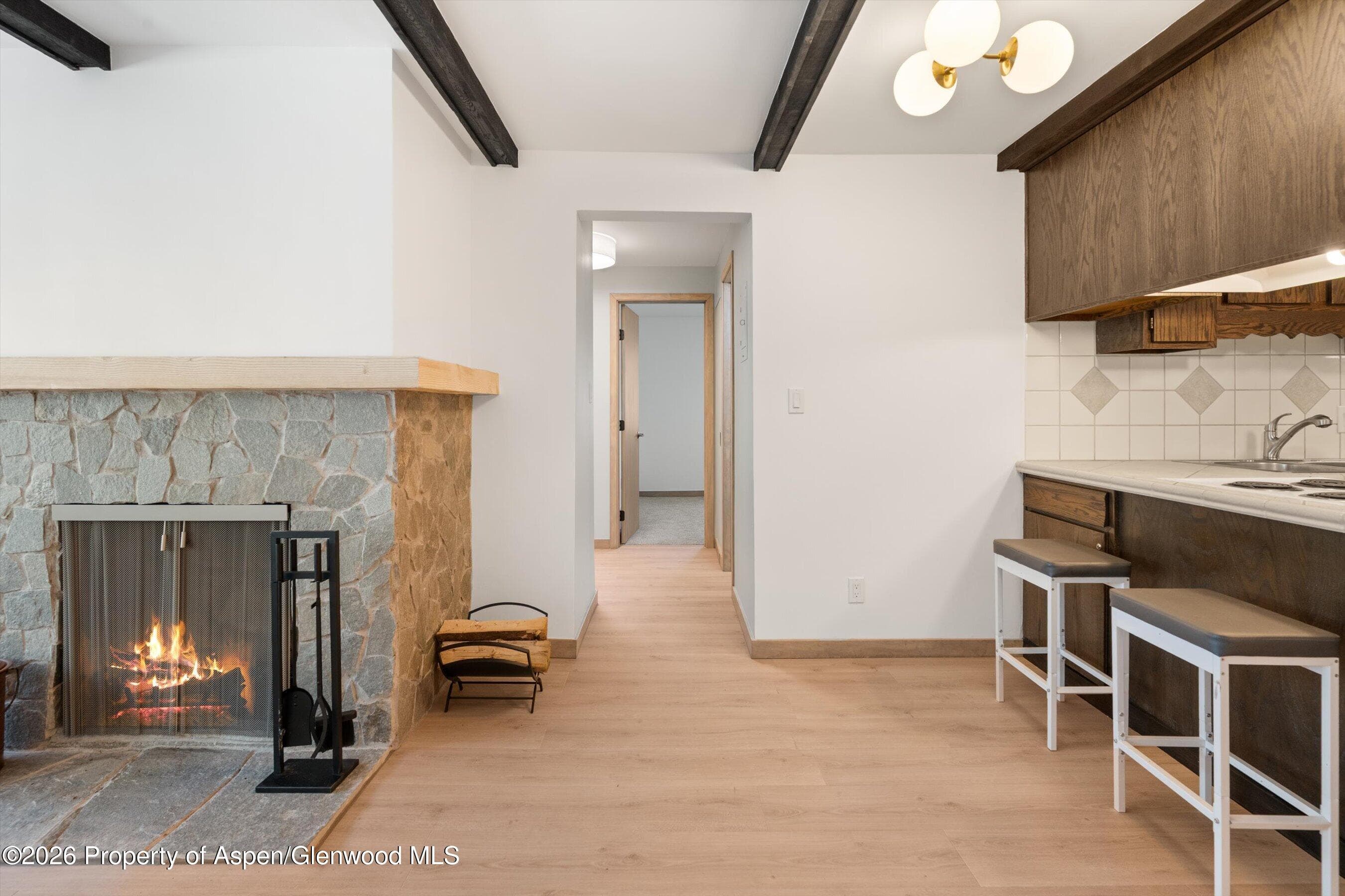940 Waters Avenue #303, Aspen, CO 81611 - Photo 9