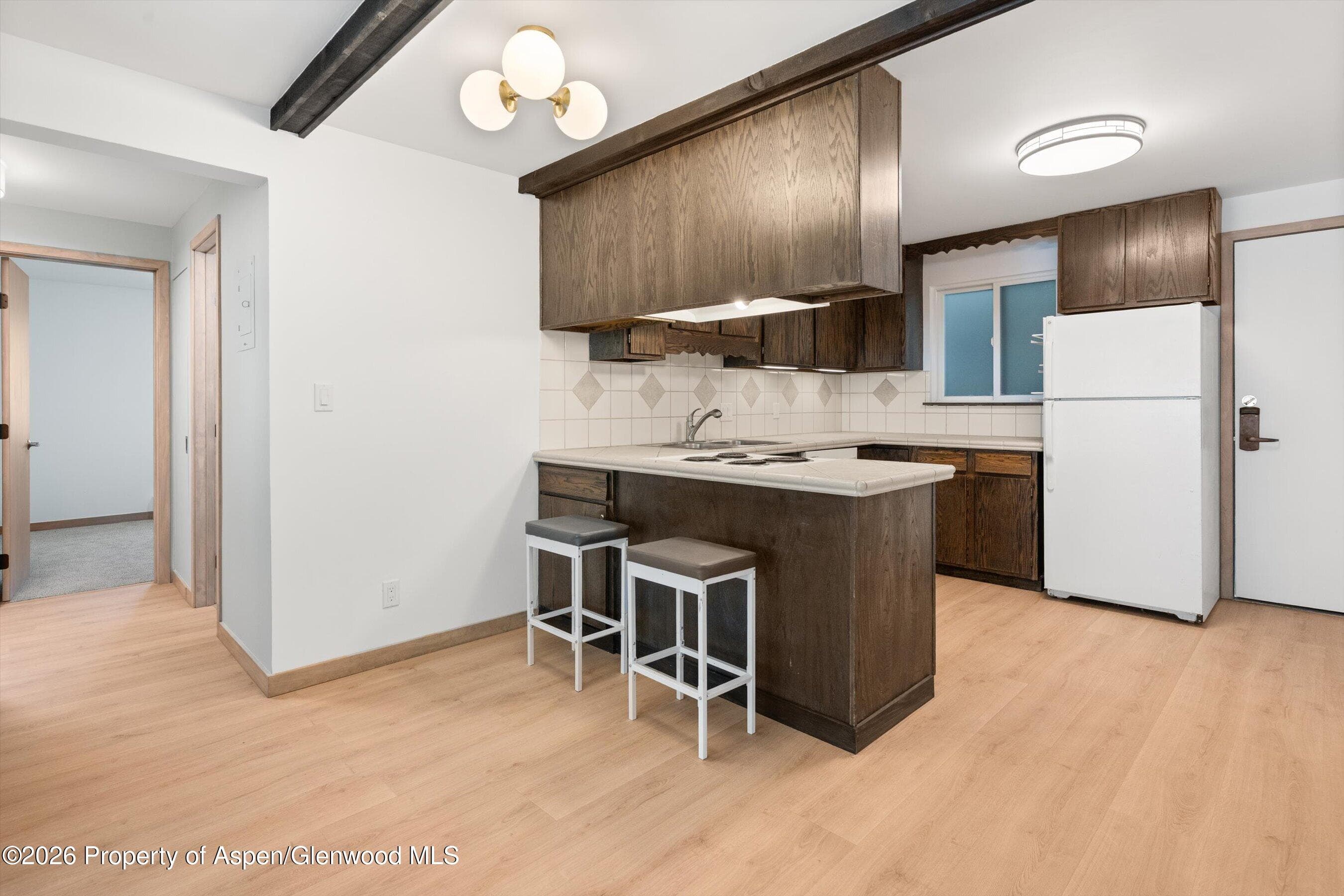 940 Waters Avenue #303, Aspen, CO 81611 - Photo 10