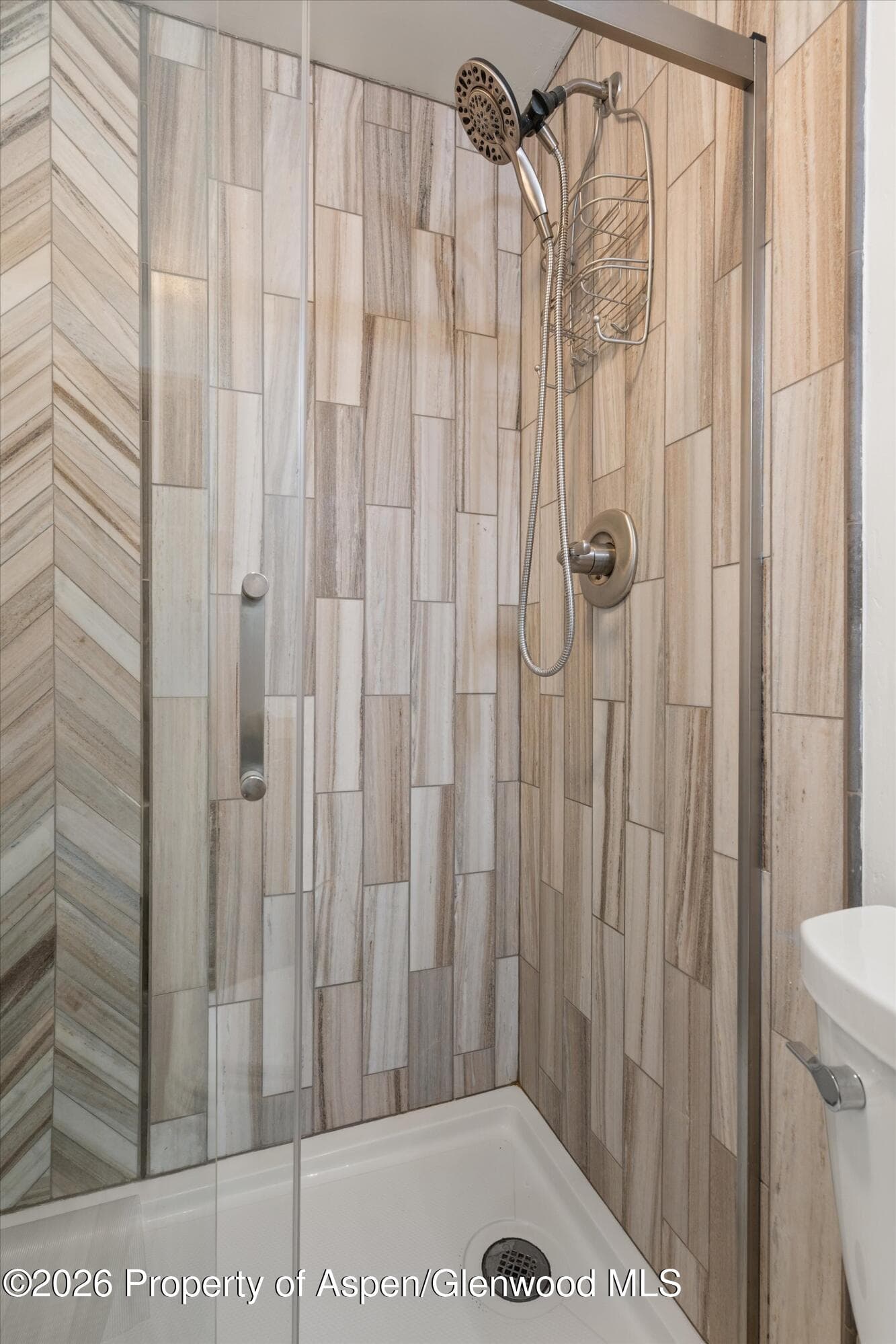 940 Waters Avenue #303, Aspen, CO 81611 - Photo 20