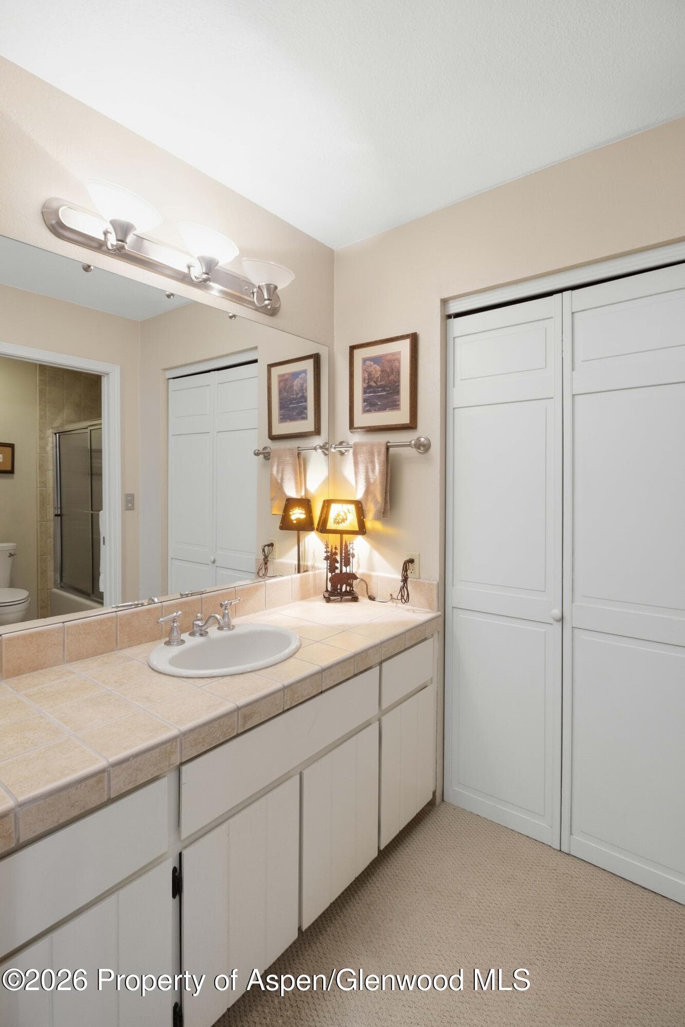 14913 Hwy 82 109, Carbondale, CO 81623 - Photo 24