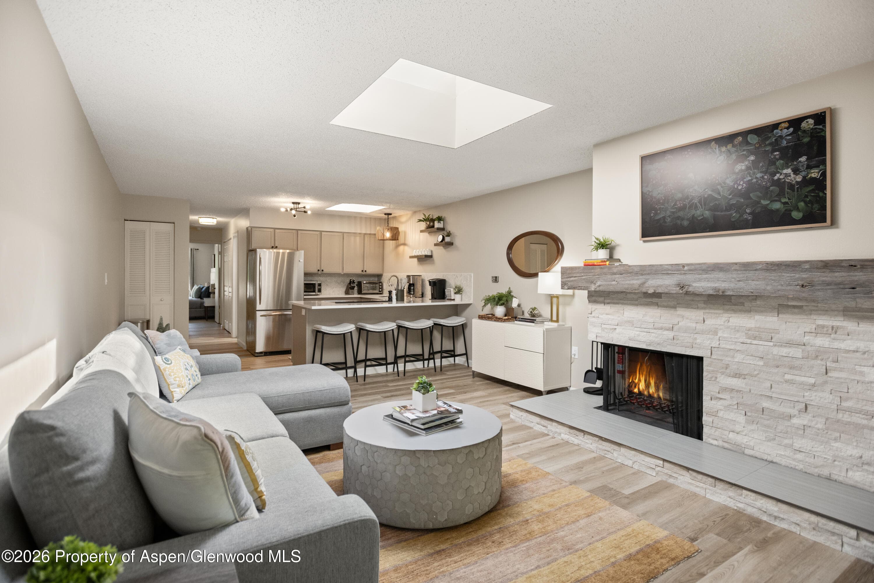 100 E Dean Street 3d, Aspen, CO 81611