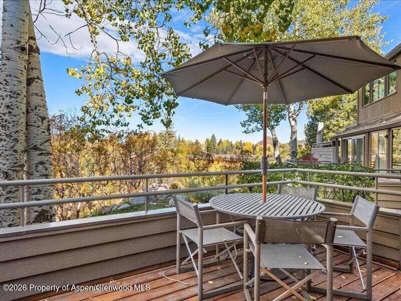 100 N 8th Street #15, Aspen, CO 81611 - Photo 33